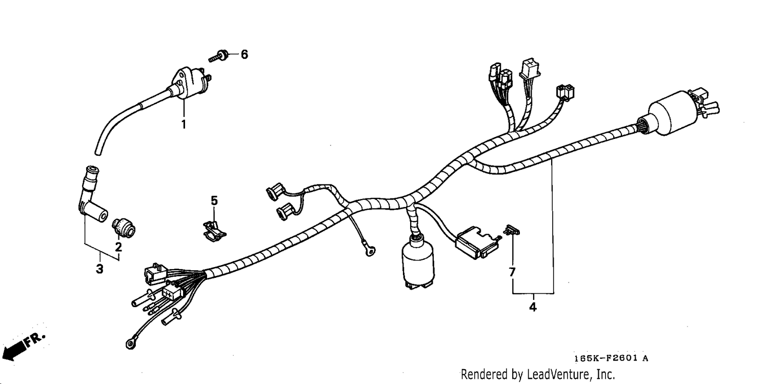 WIRE HARNESS (2)