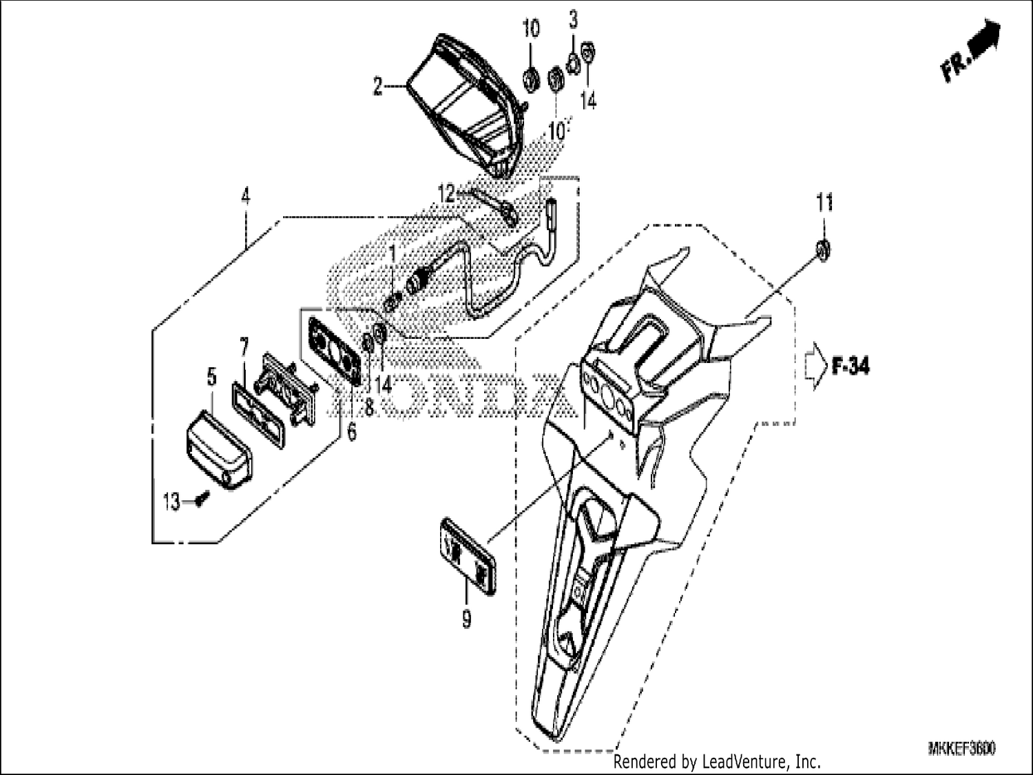  TAILLIGHT/LICENSE LIGHT