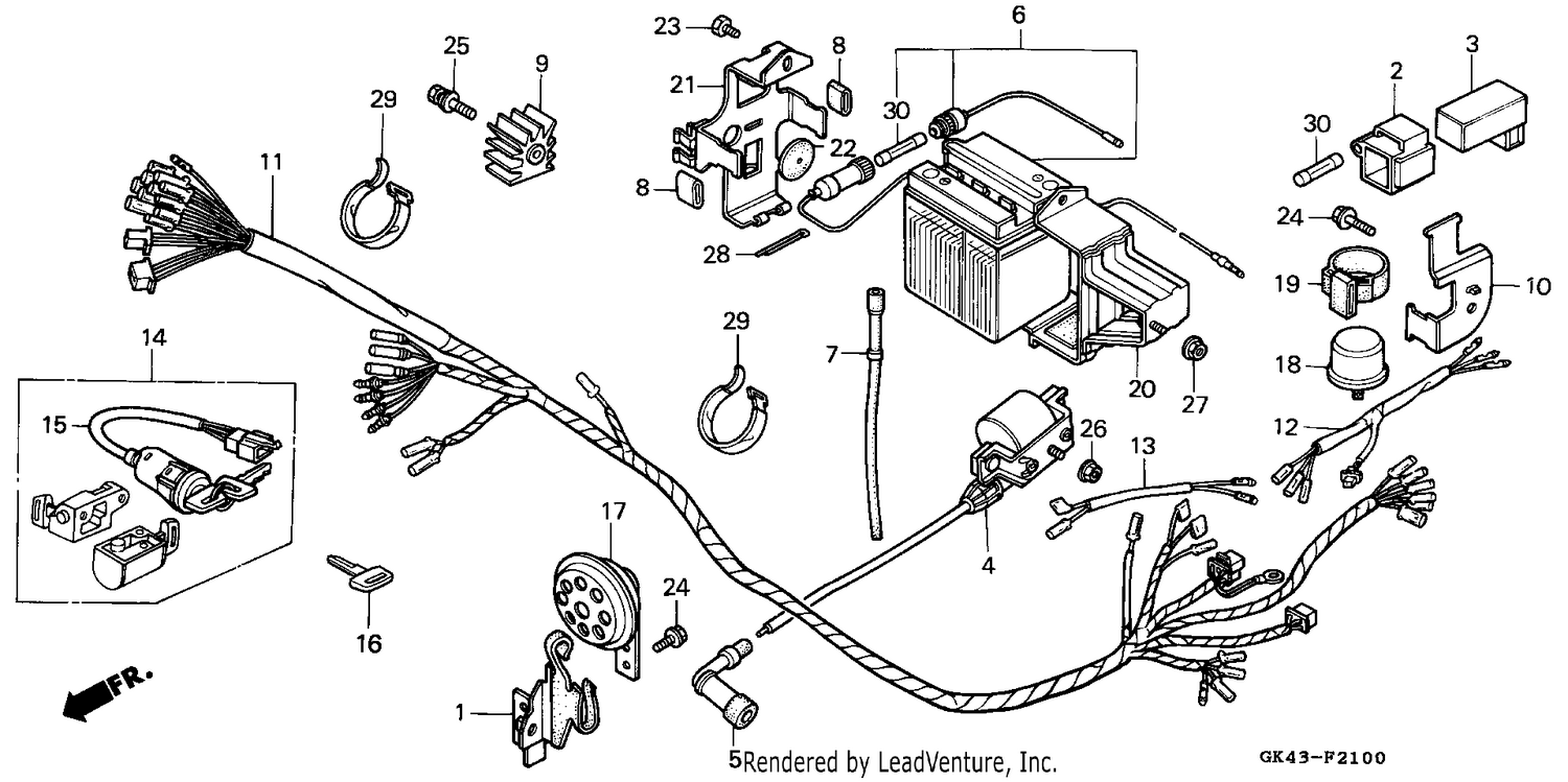 WIRE HARNESS/BATTERY (C50DF/DG)