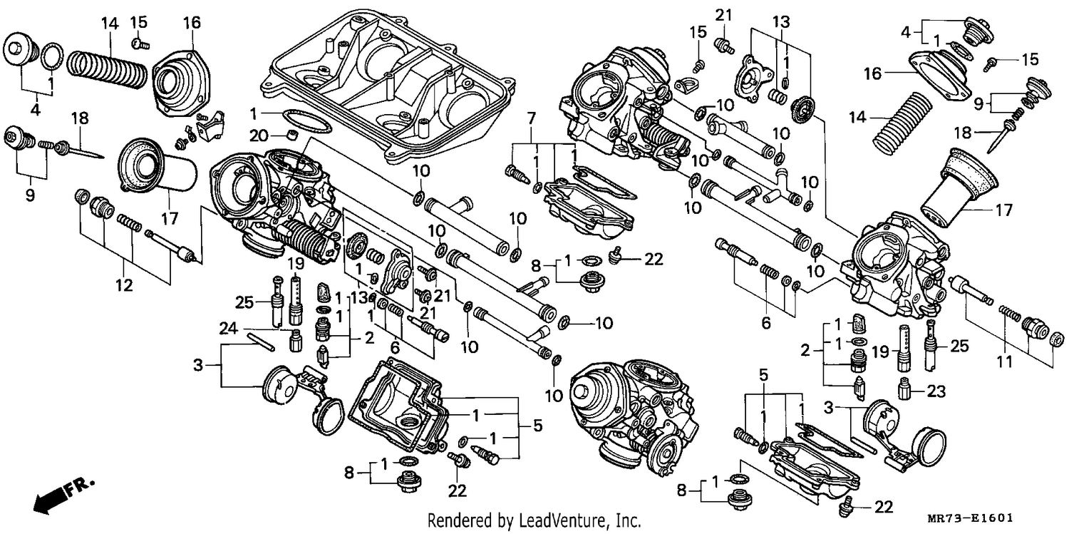 CARBURETOR (COMPONENT PARTS)