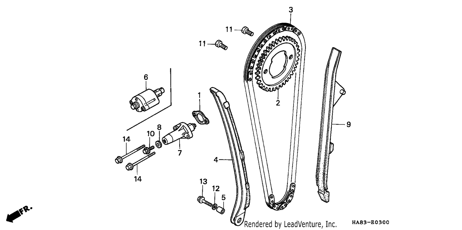CAM CHAIN/TENSIONER