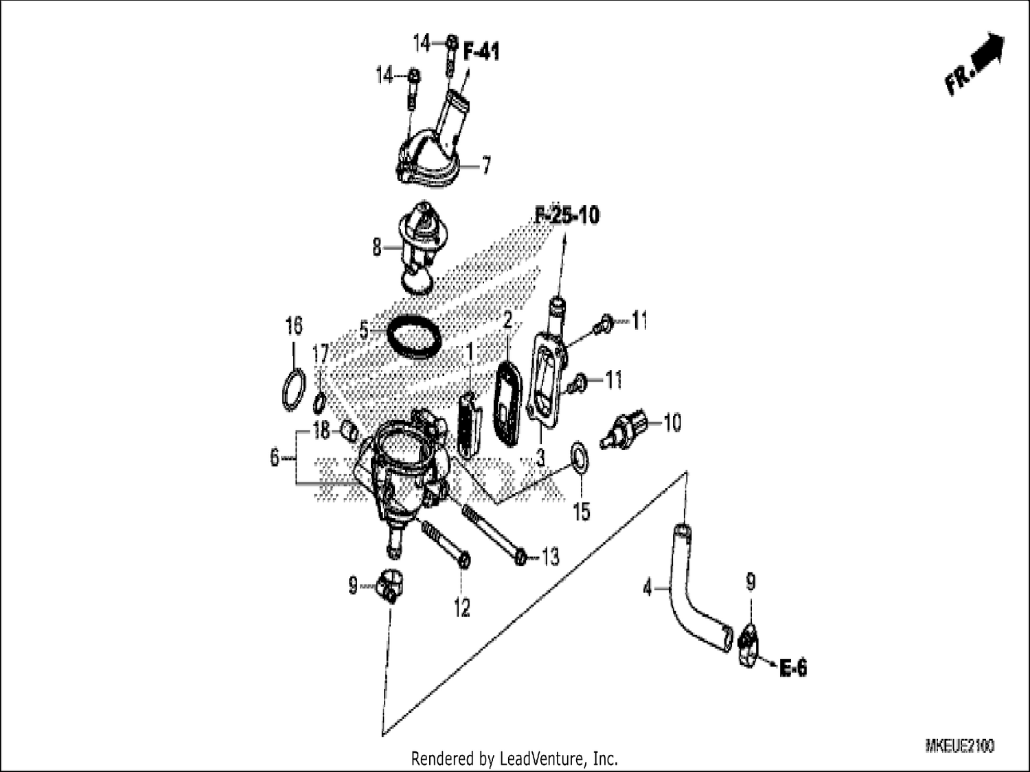 THERMOSTAT/HOSE