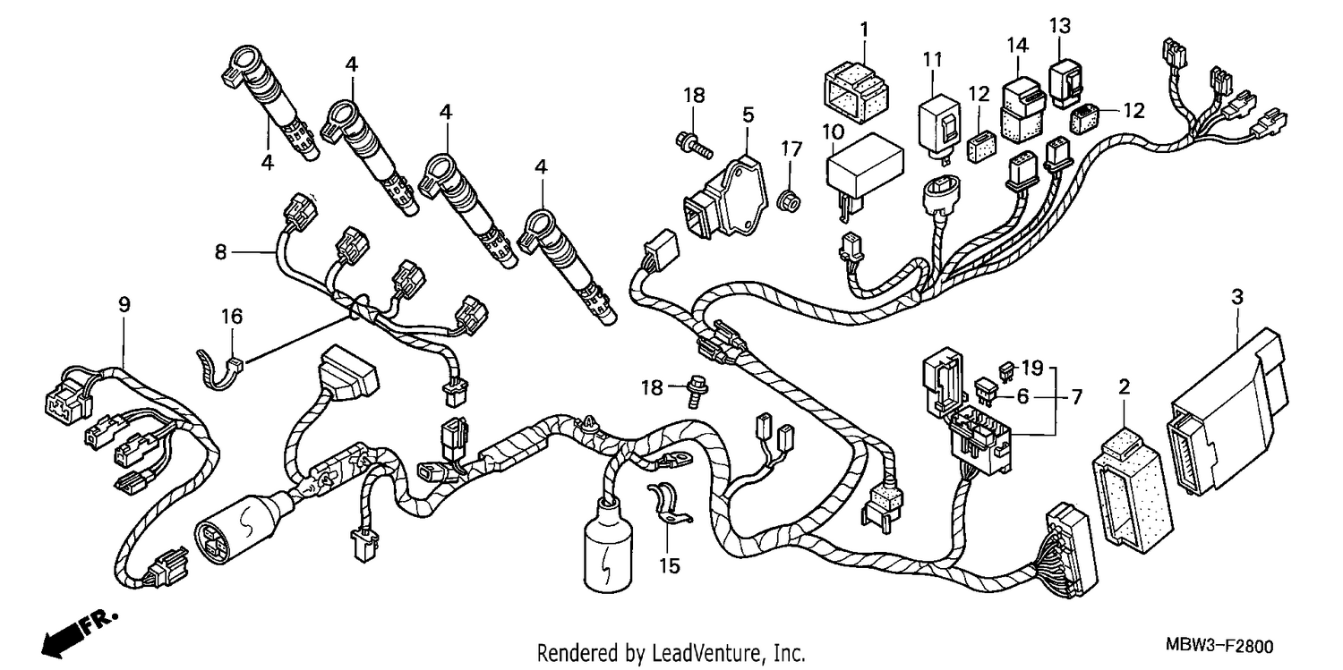WIRE HARNESS (1)