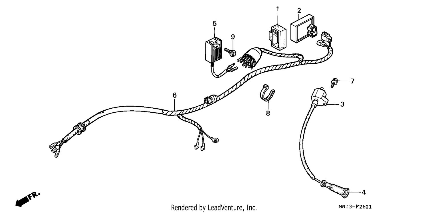 WIRE HARNESS (2)