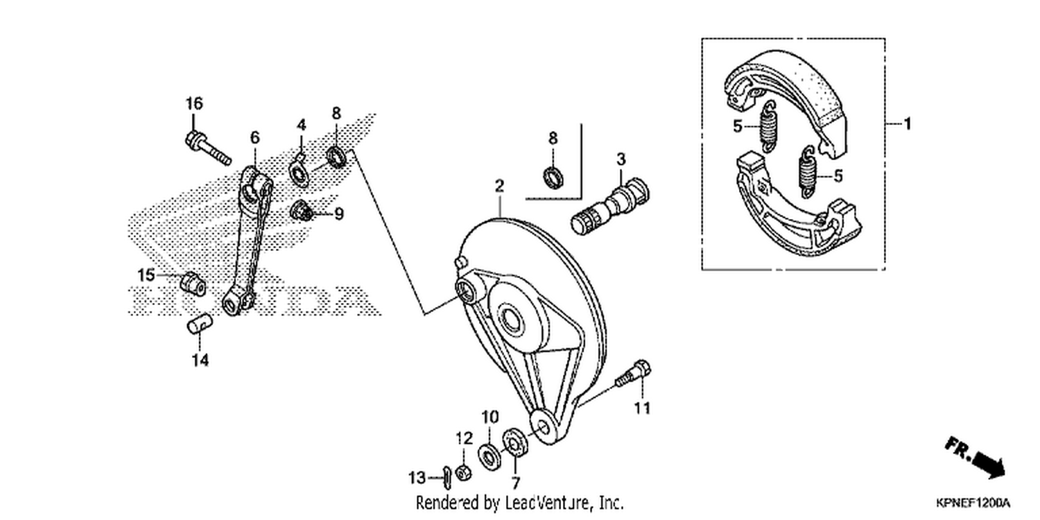 REAR BRAKE PANEL