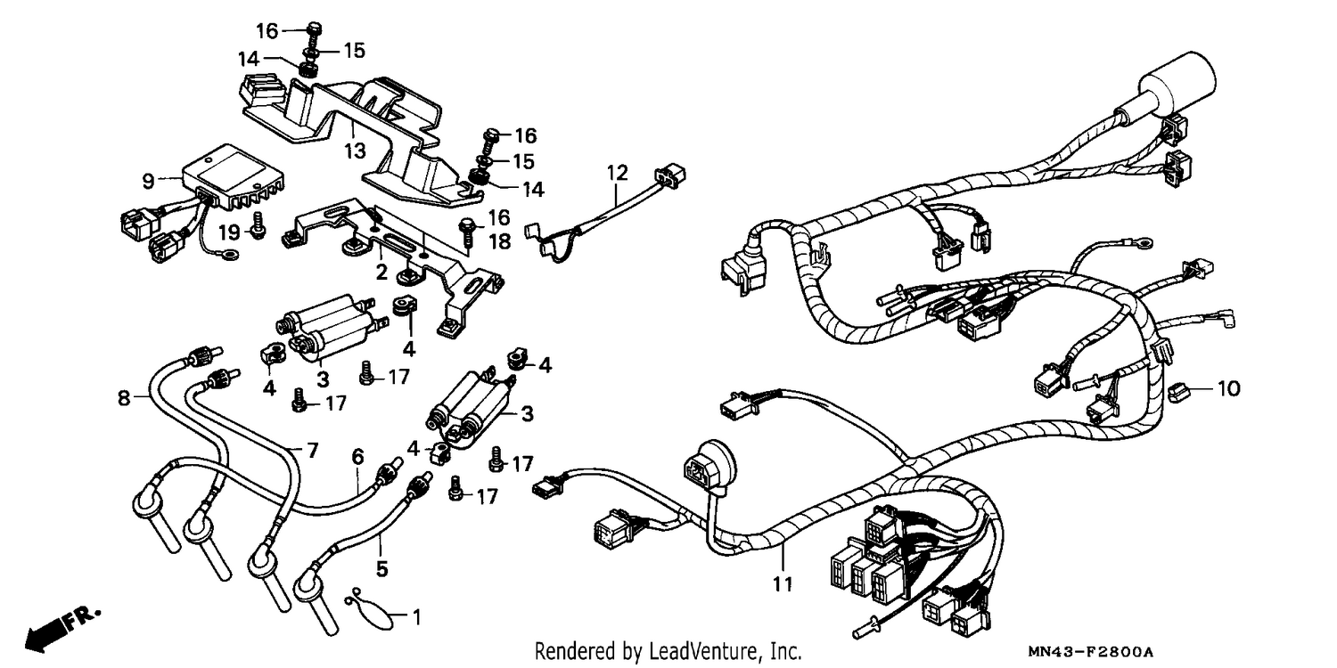 WIRE HARNESS