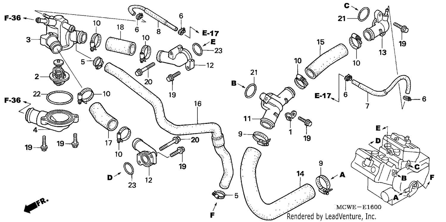 WATER HOSE
