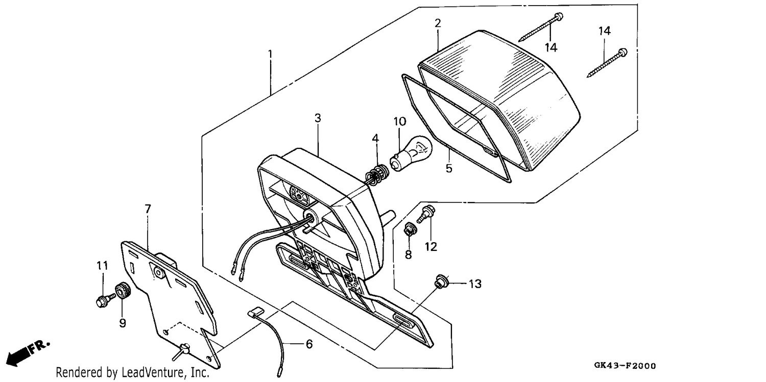 TAILLIGHT (C50DF/G/DG/SN)
