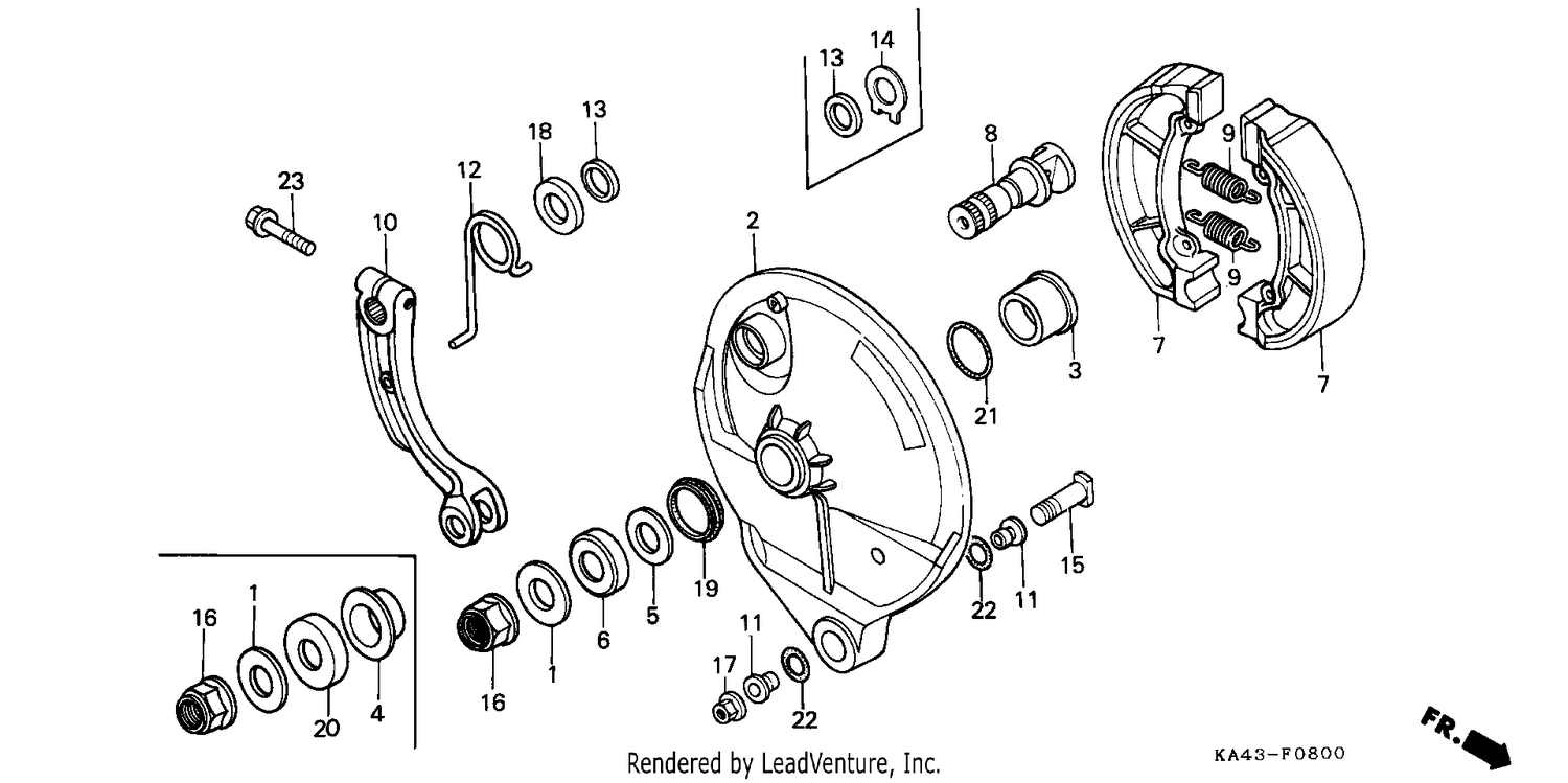REAR BRAKE PANEL (1)