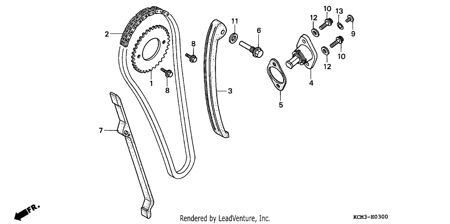 CAM CHAIN/TENSIONER
