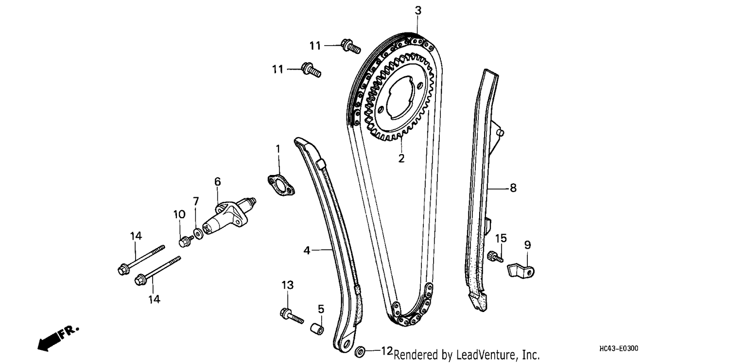 CAM CHAIN/TENSIONER
