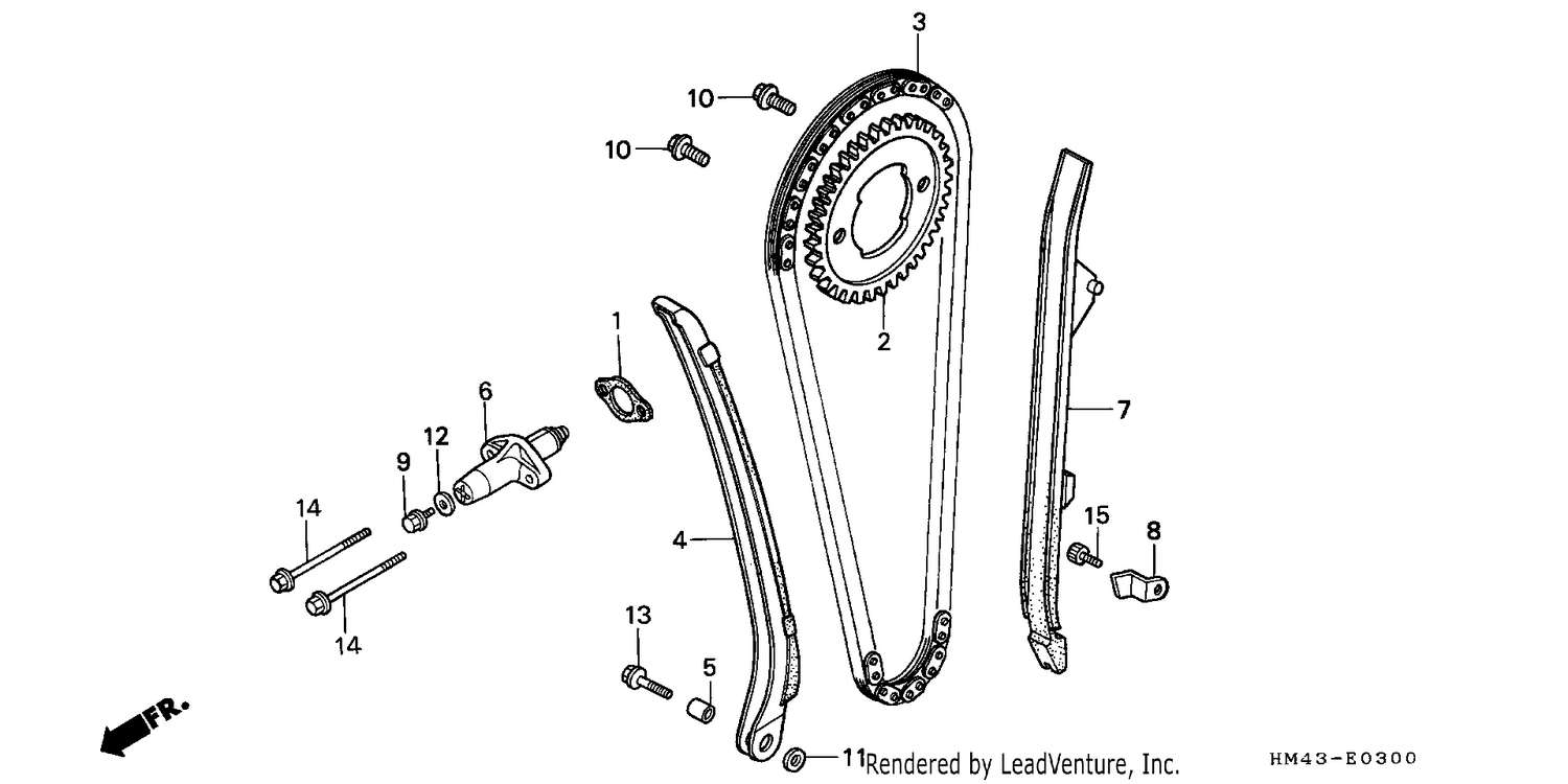 CAM CHAIN/TENSIONER