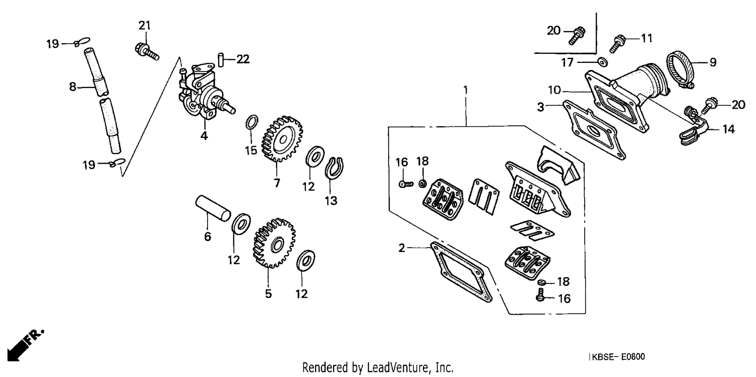OIL PUMP/REED VALVE