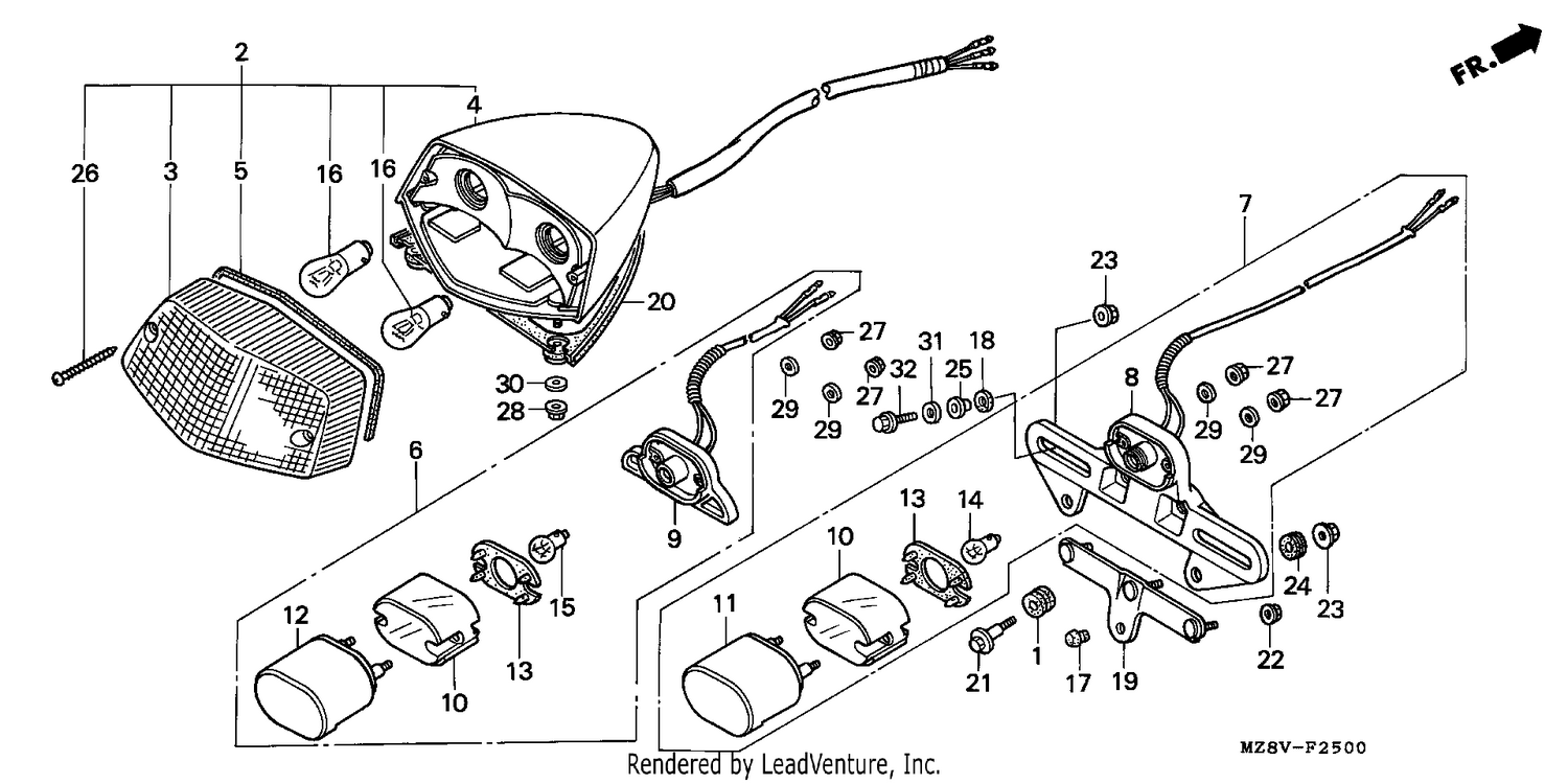 TAILLIGHT (1)