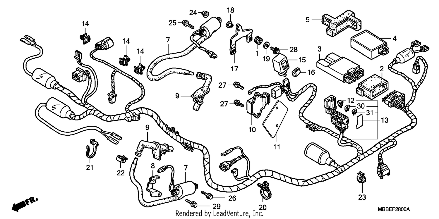 WIRE HARNESS