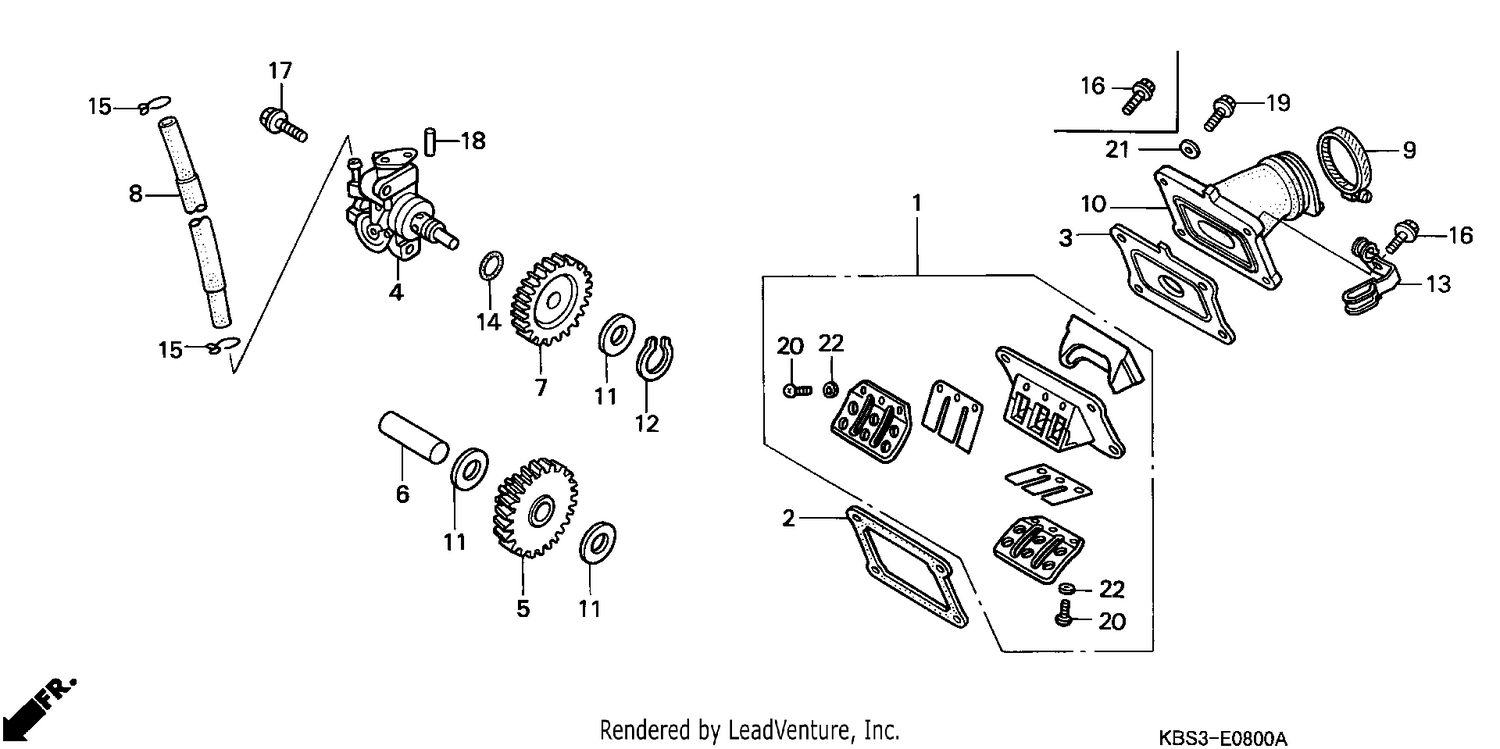 OIL PUMP/REED VALVE