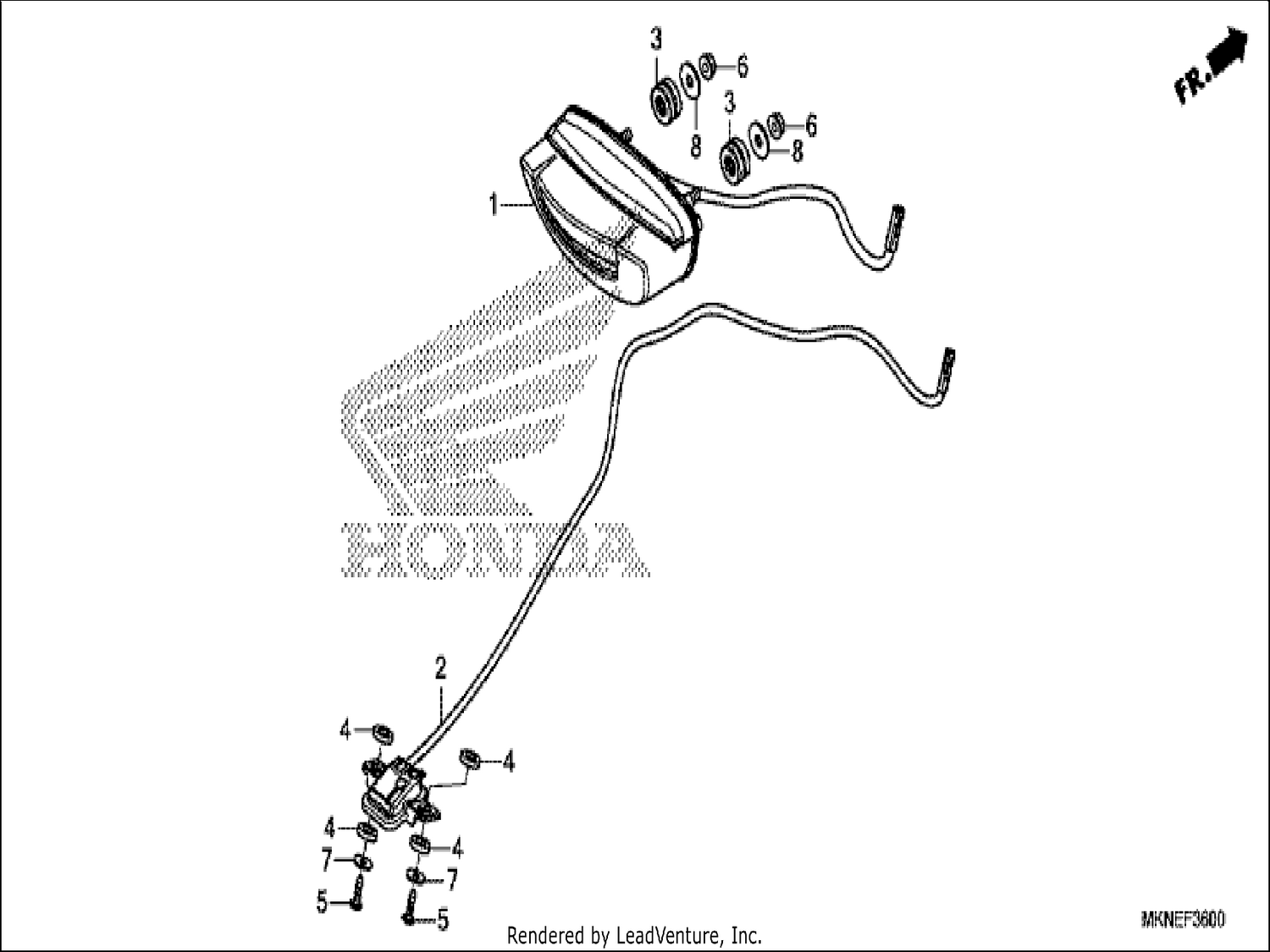  TAILLIGHT/LICENSE LIGHT