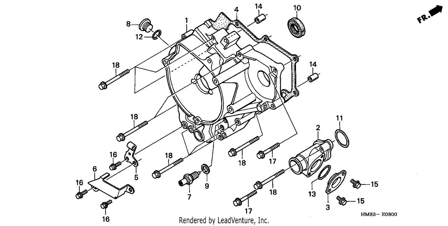REAR CRANKCASE COVER