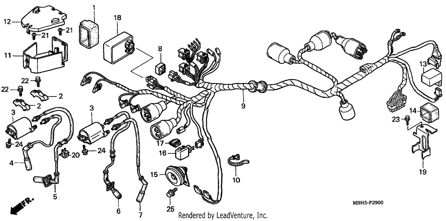 WIRE HARNESS (1)