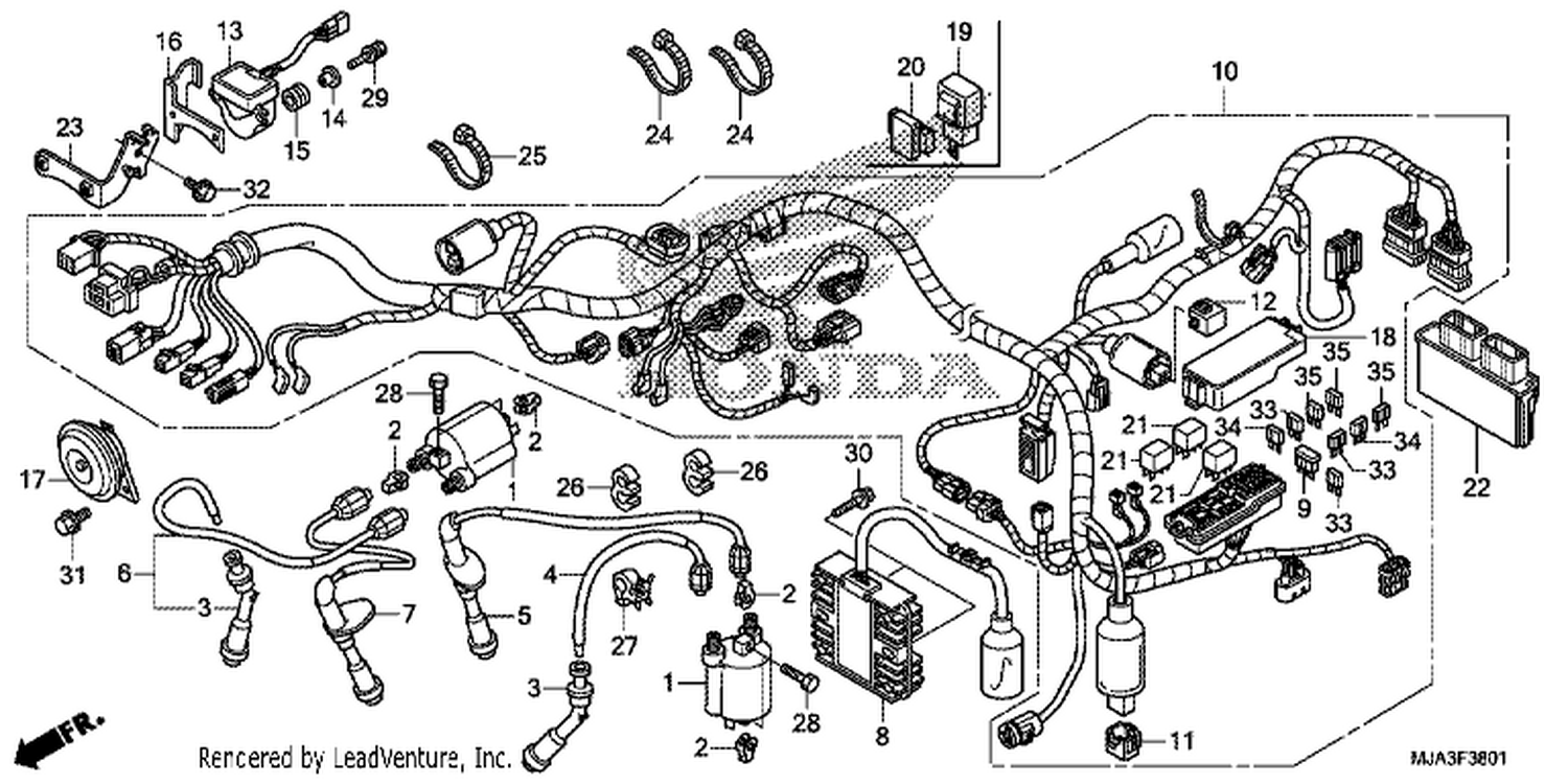  1 WIRE HARNESS (VT750CS/C2S)