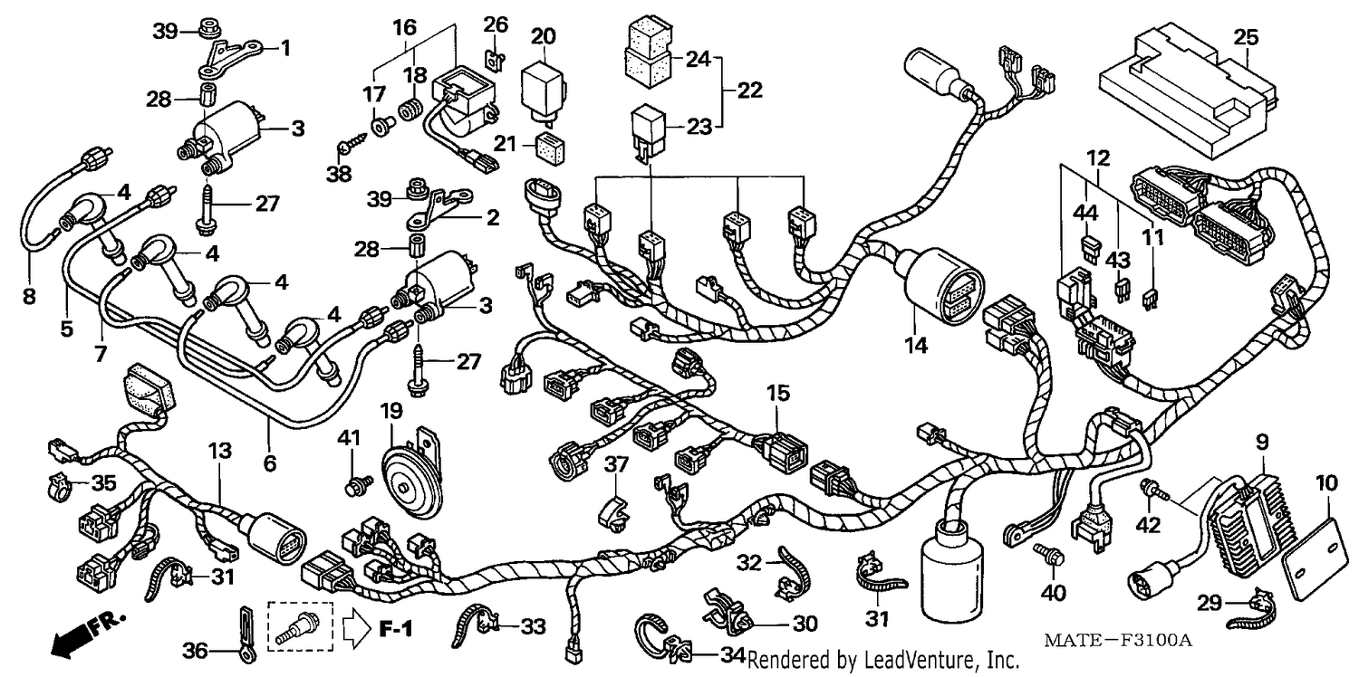 WIRE HARNESS