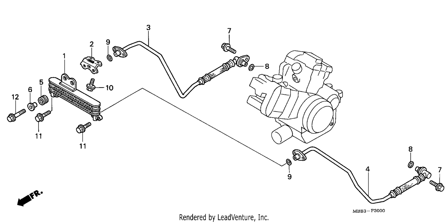 OIL COOLER