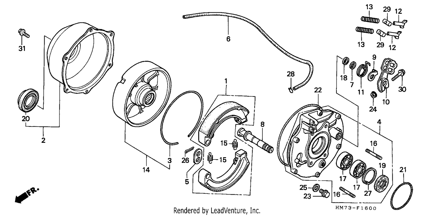 REAR BRAKE PANEL