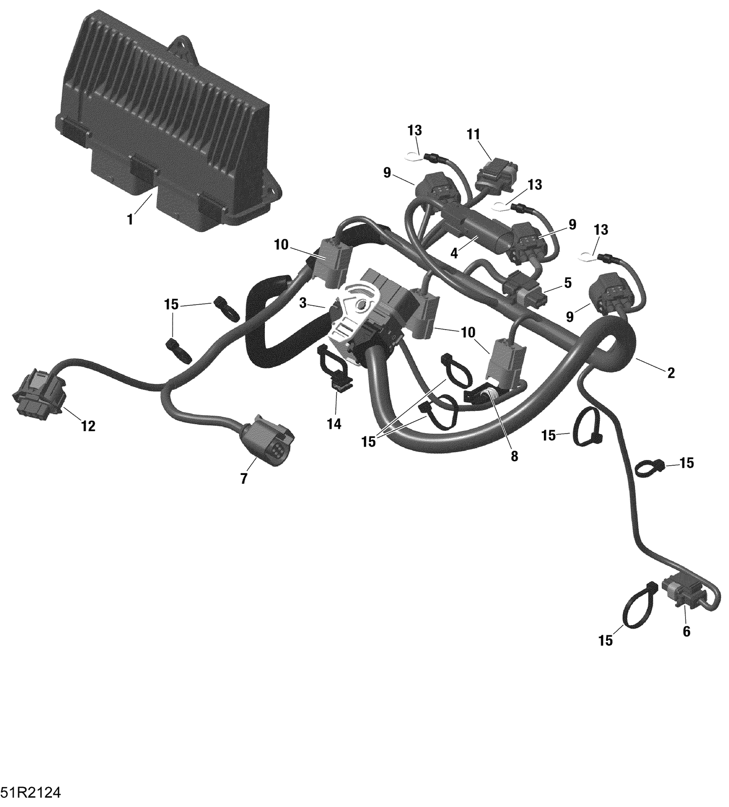 01- ROTAX - Engine Harness And Electronic Module