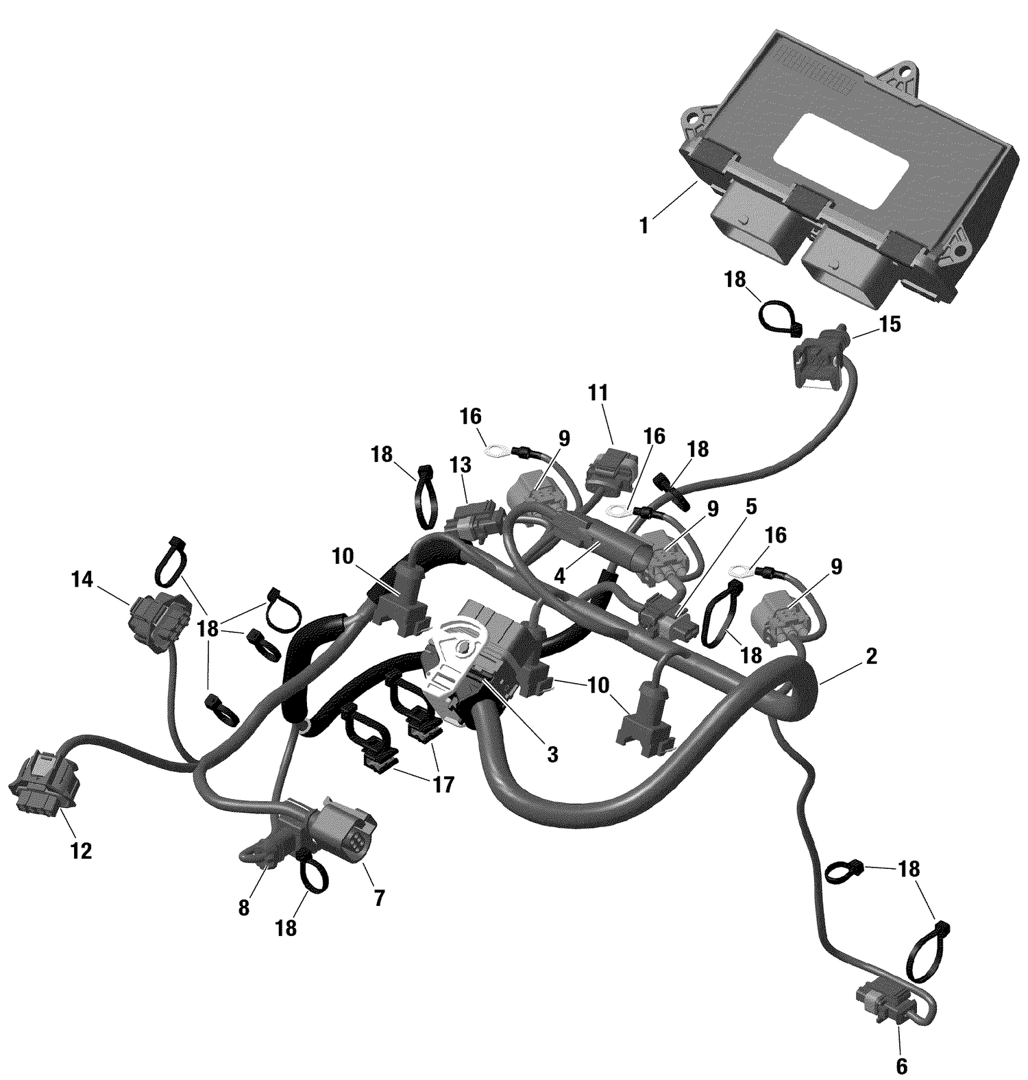 01- ROTAX - Engine Harness And Electronic Module