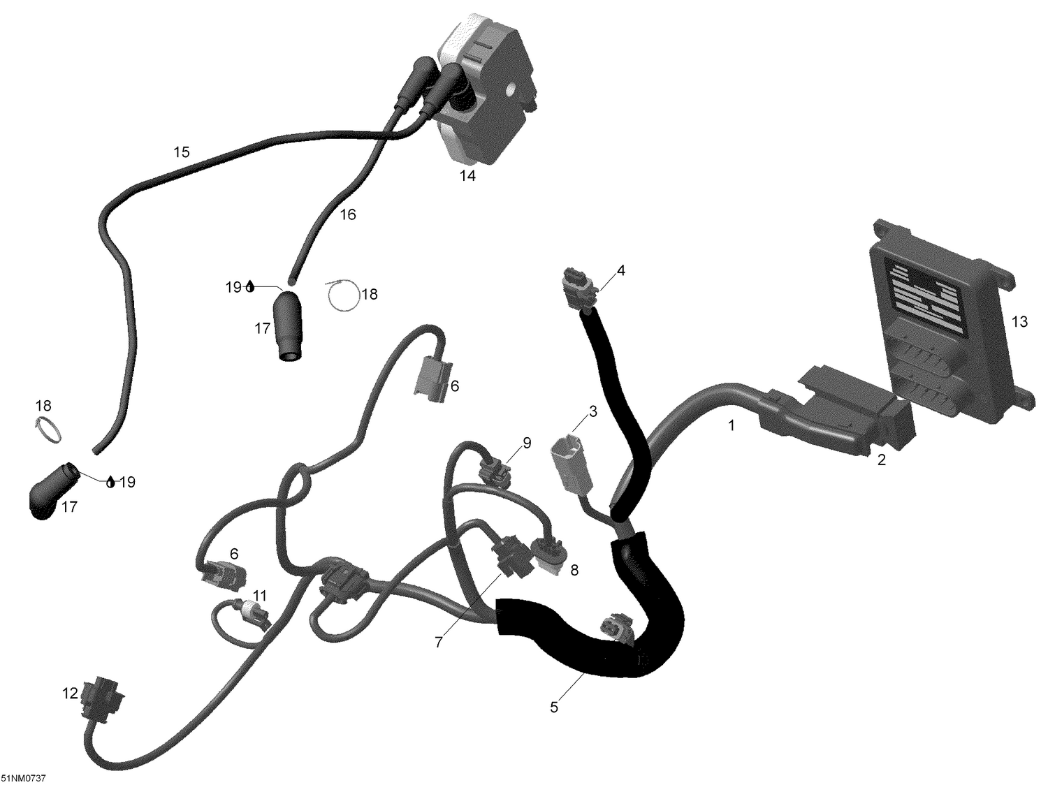 10- Engine harness and Electronic Module