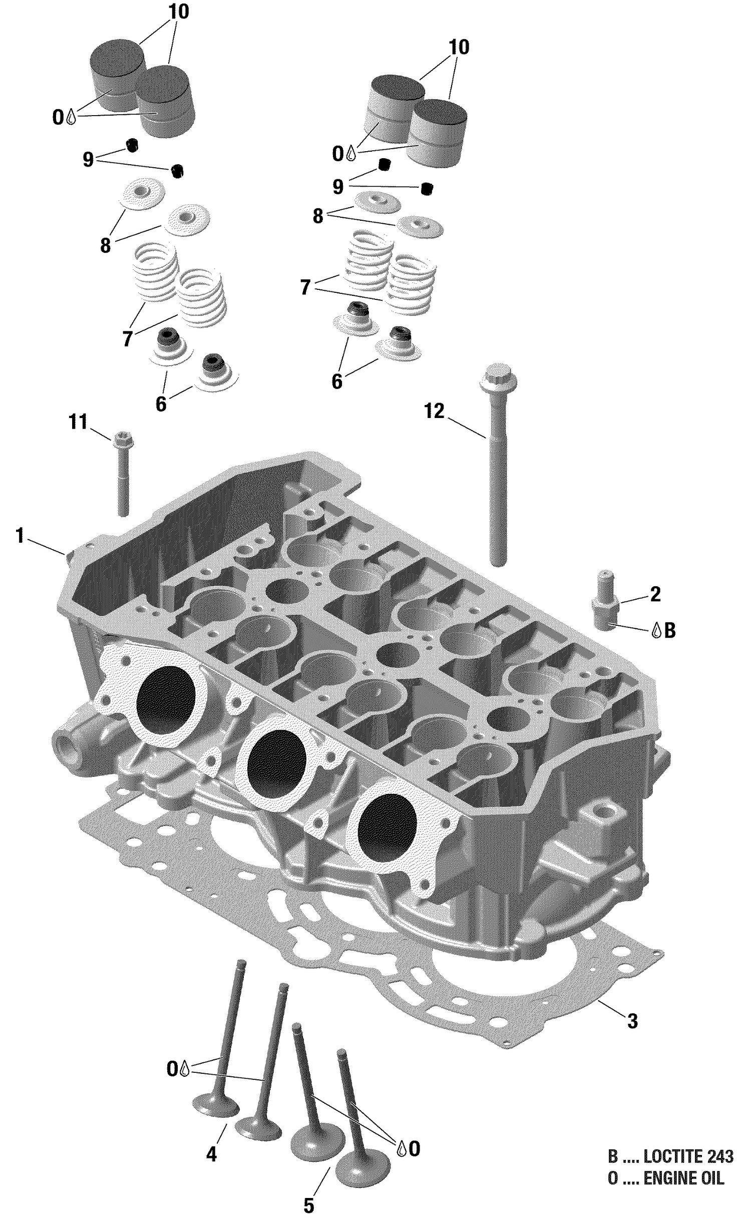 01- ROTAX - Cylinder Head