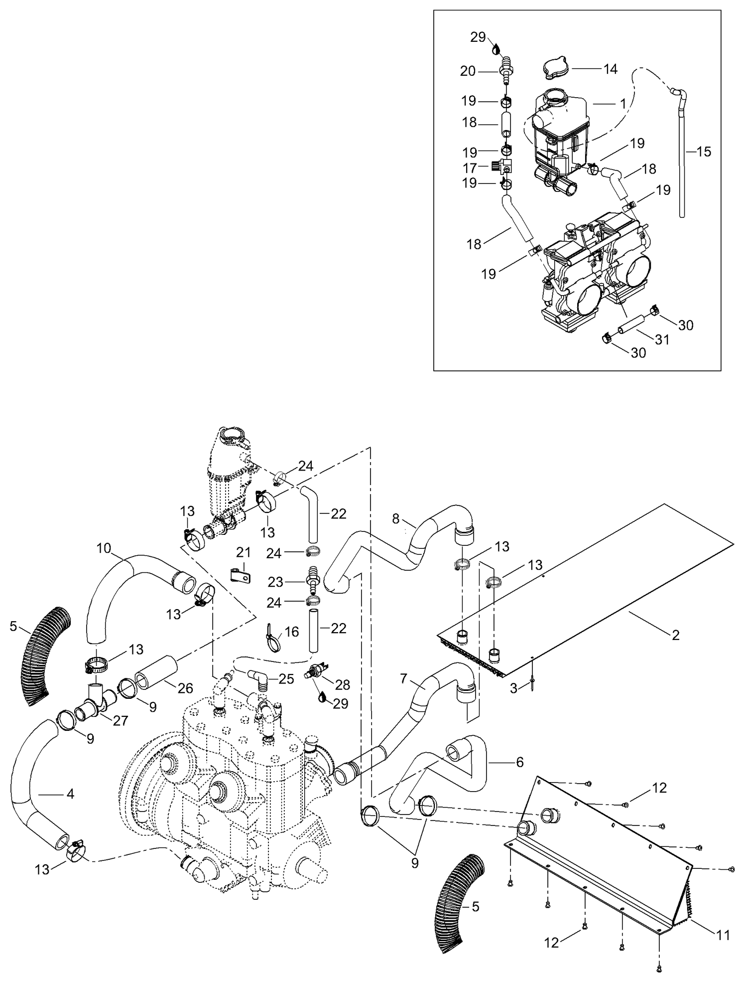 01- Radiator, Hoses
