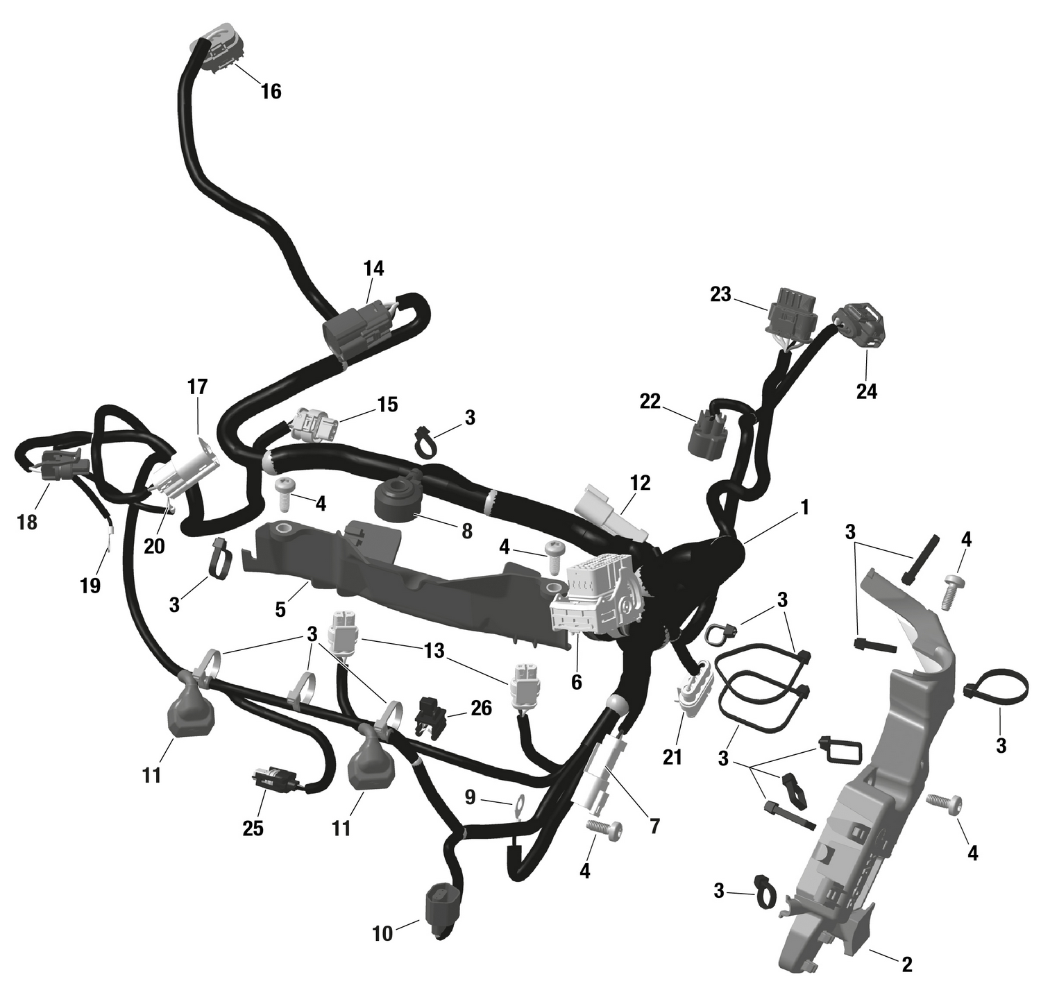 01- ROTAX - Engine Harness And Electronic Module - NA