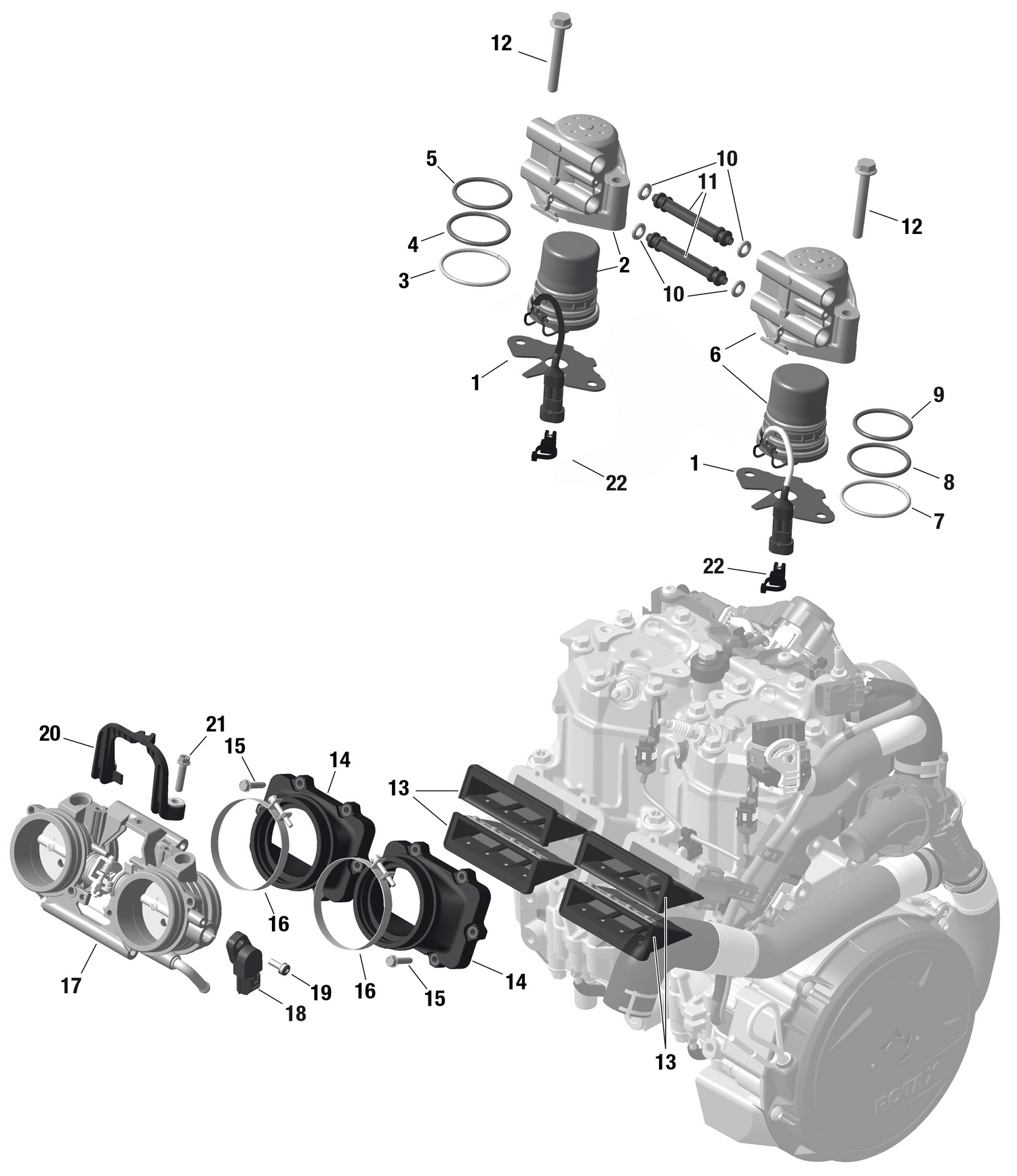 01- ROTAX - EFI