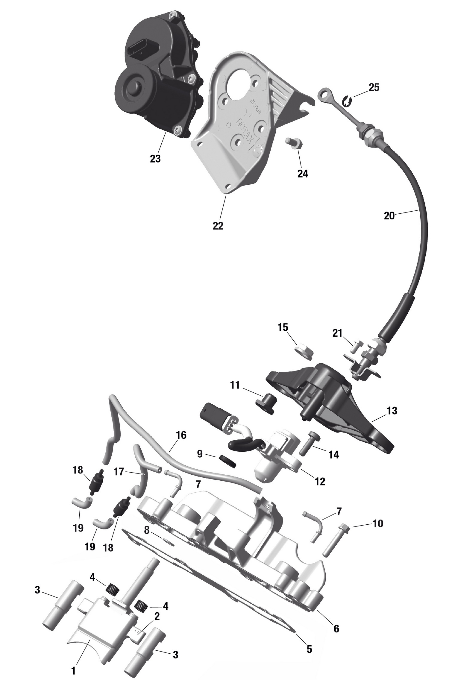 01- ROTAX - RAVE Valve