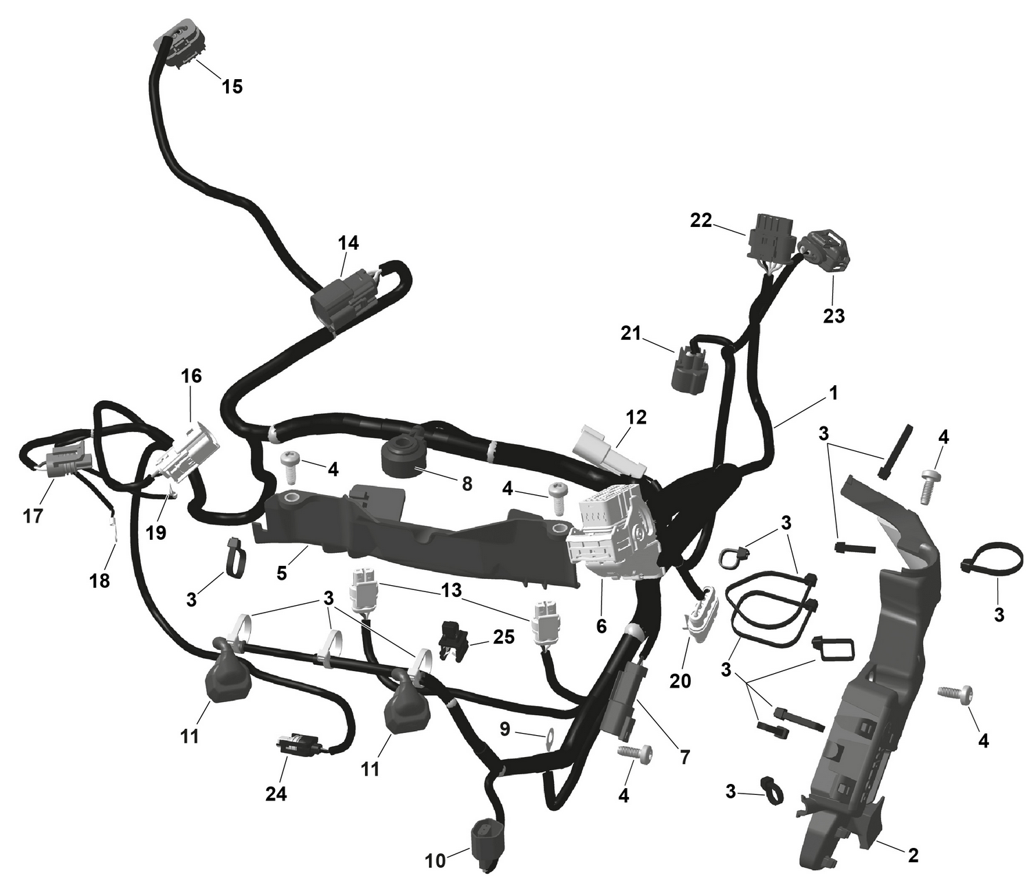 01- ROTAX - Engine Harness And Electronic Module