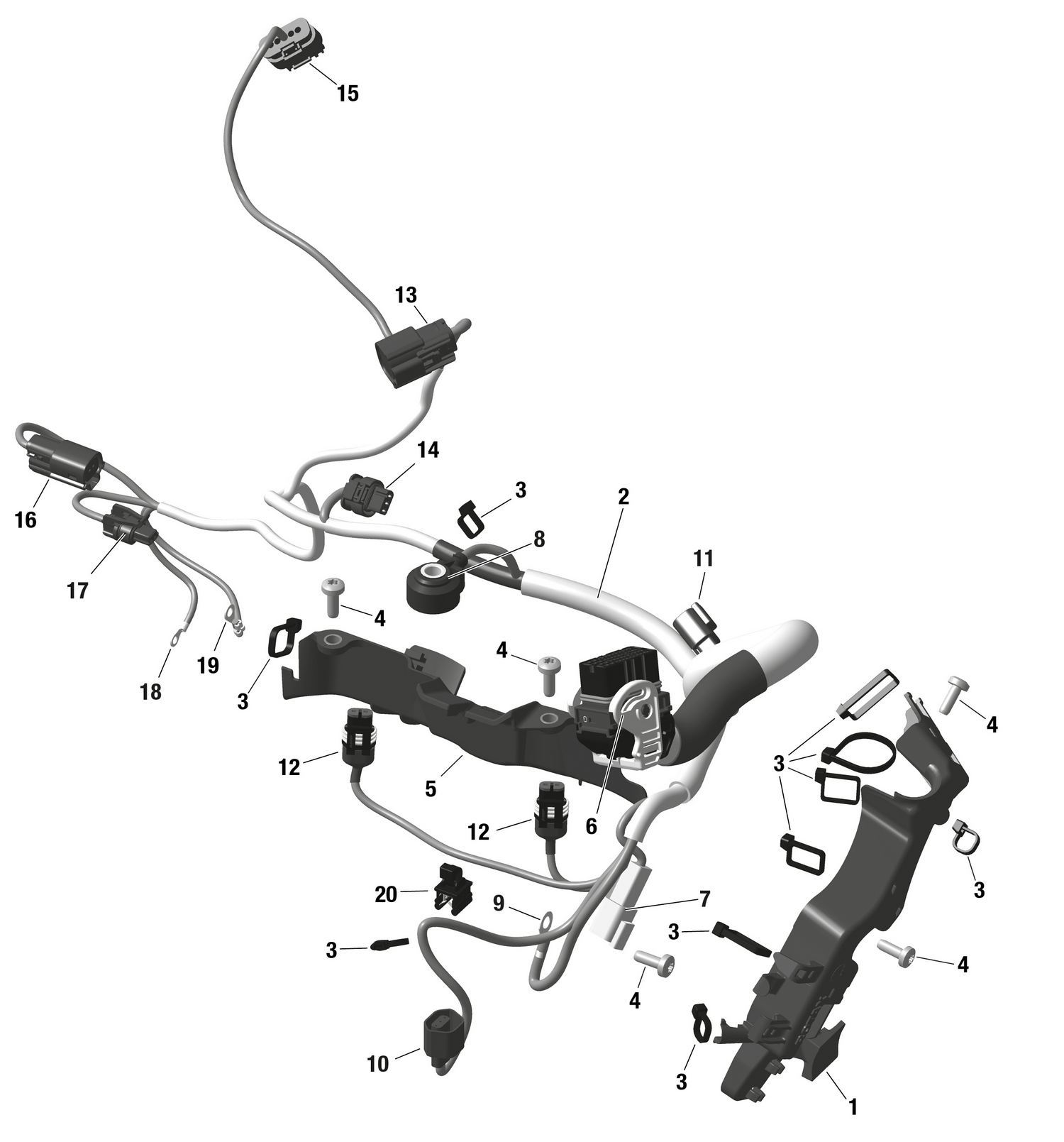 01- ROTAX - Engine Harness And Electronic Module