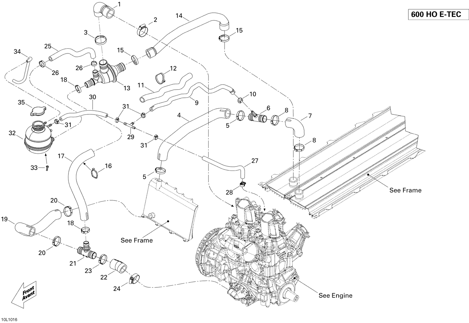 01- Cooling System , 600HO E-TEC