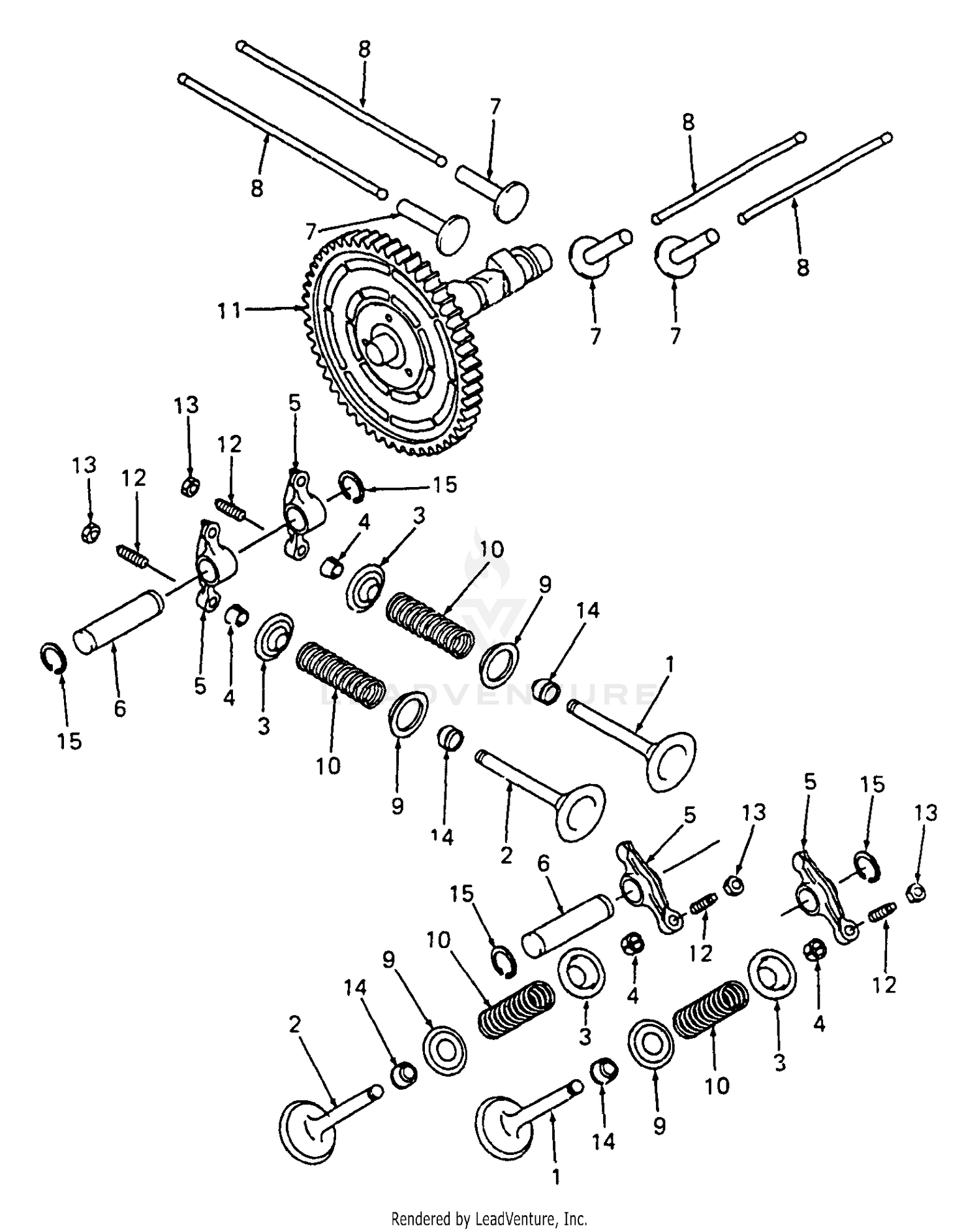 Valves And Camshaft