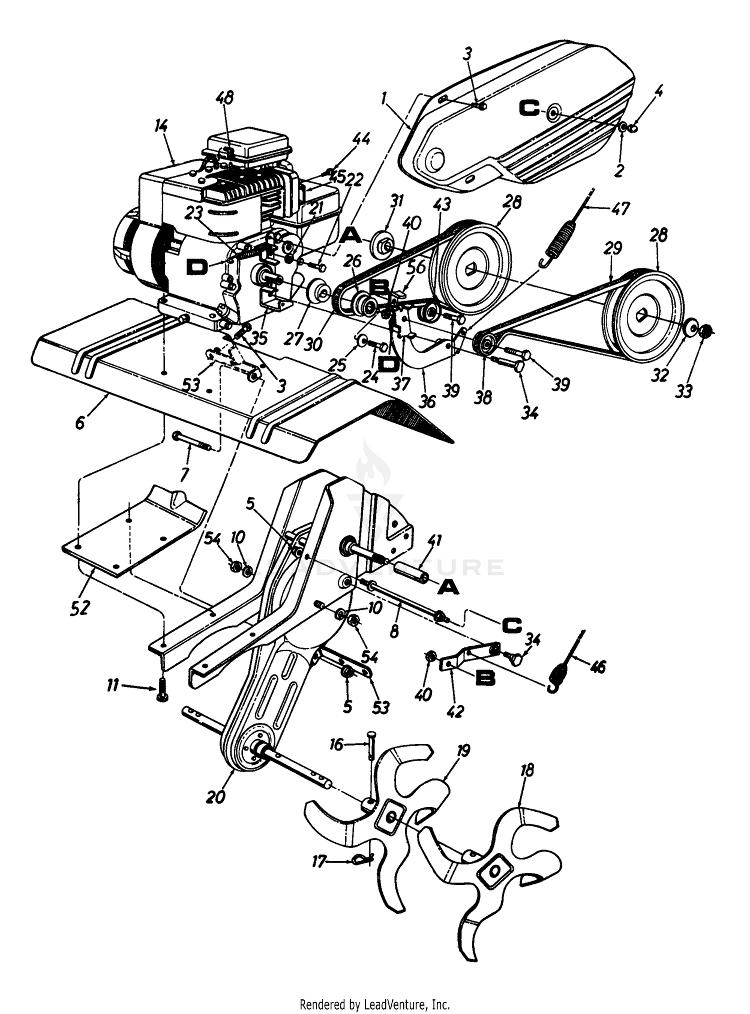 Engine & Chain Case Assembly