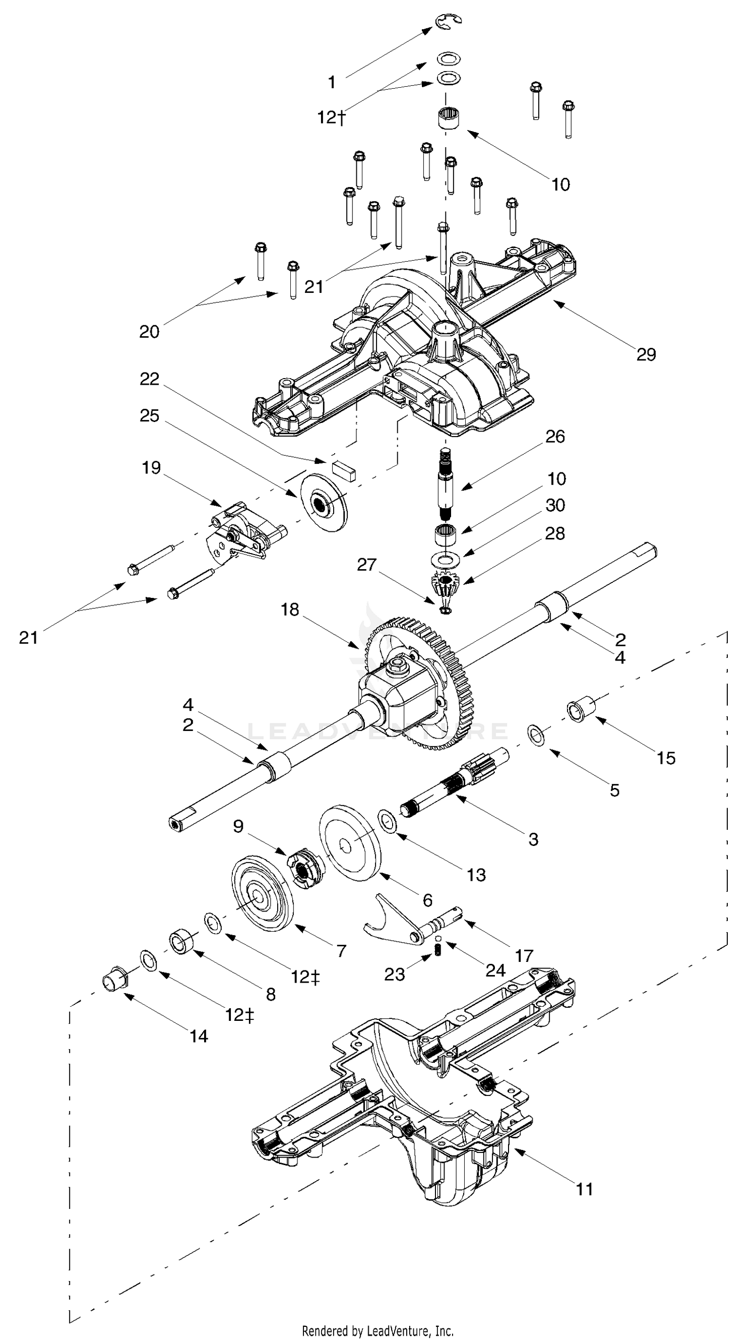 Differential Assembly