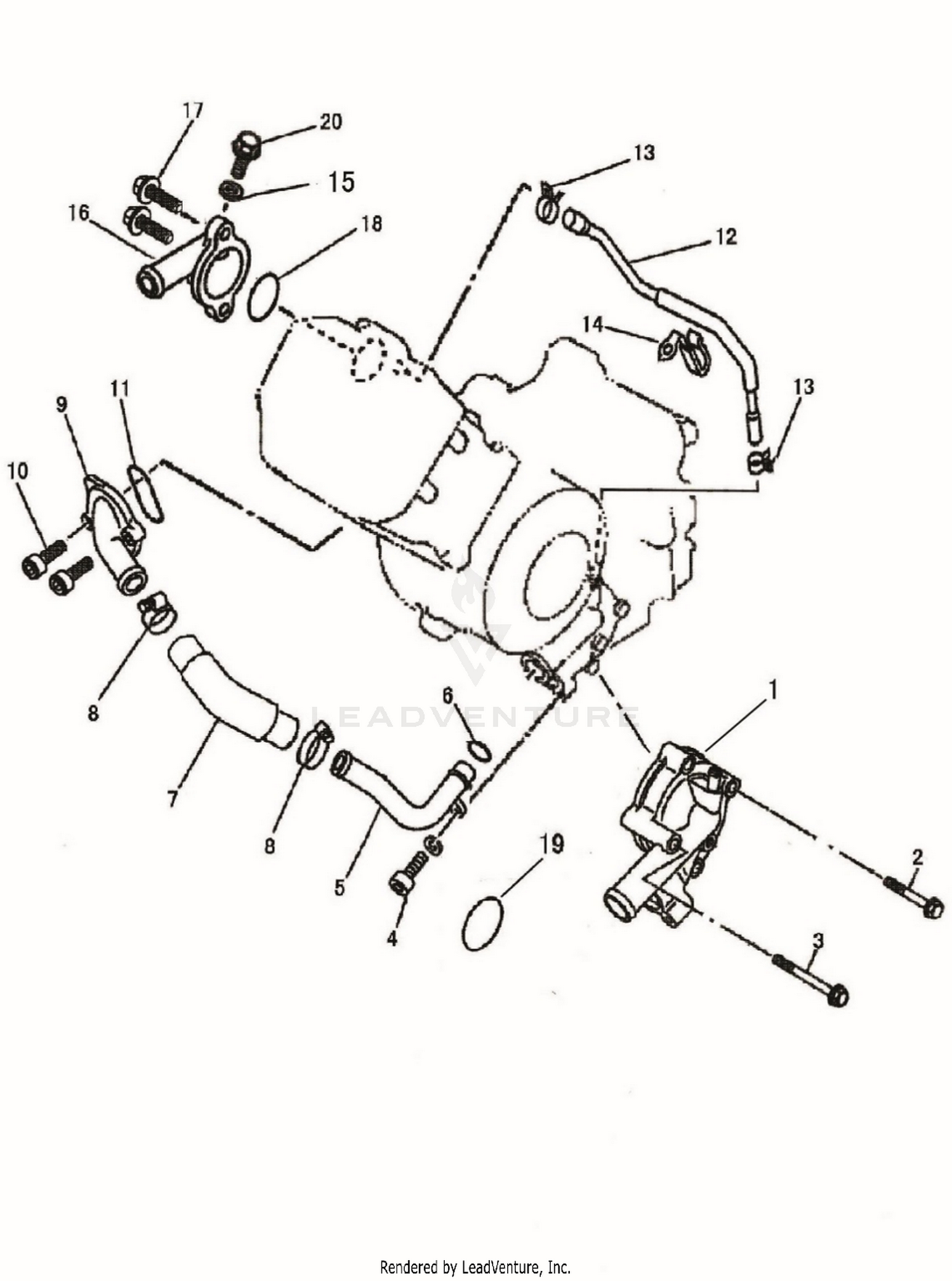 Engine - Water Pump