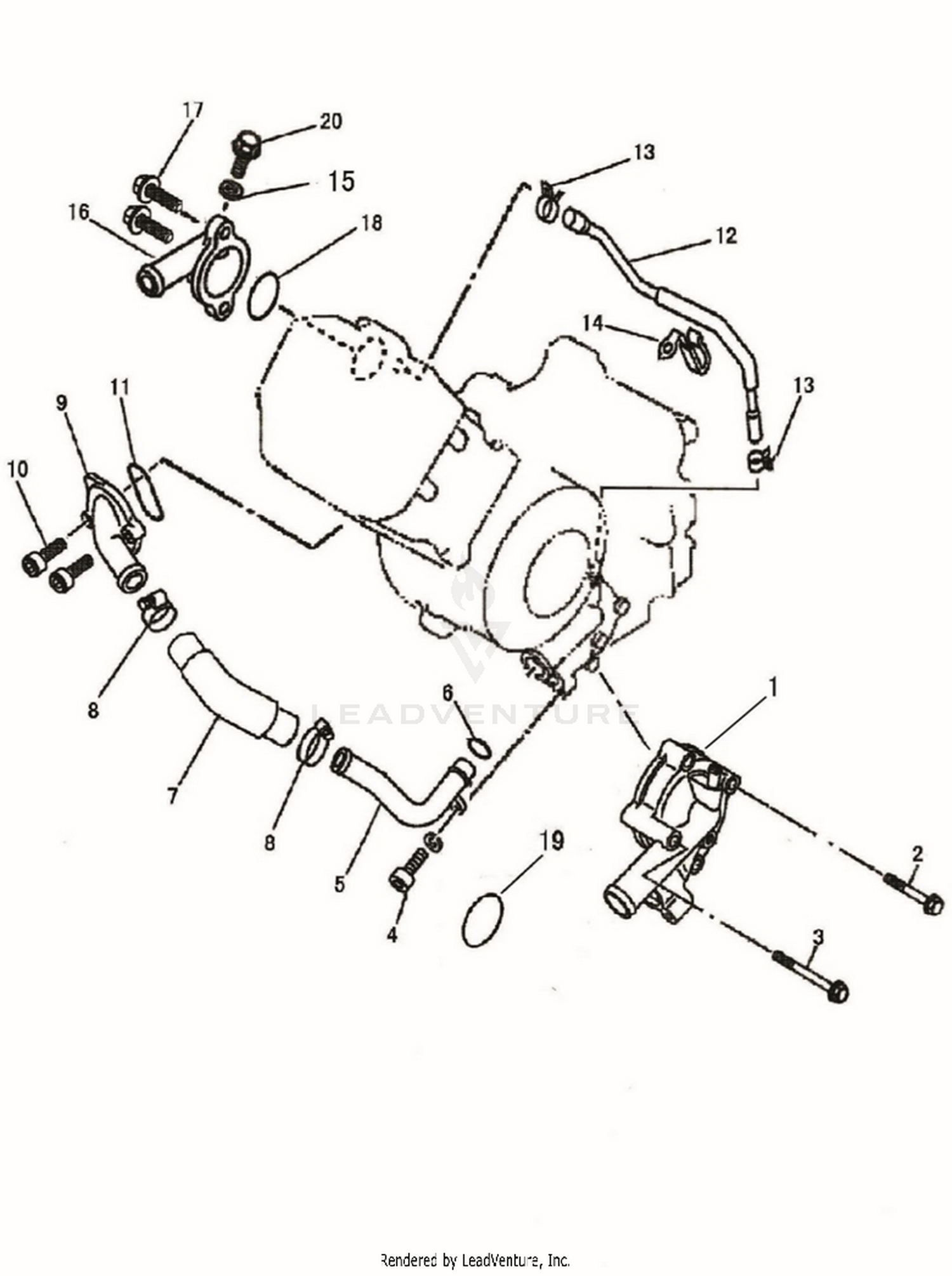 Engine - Water Pump