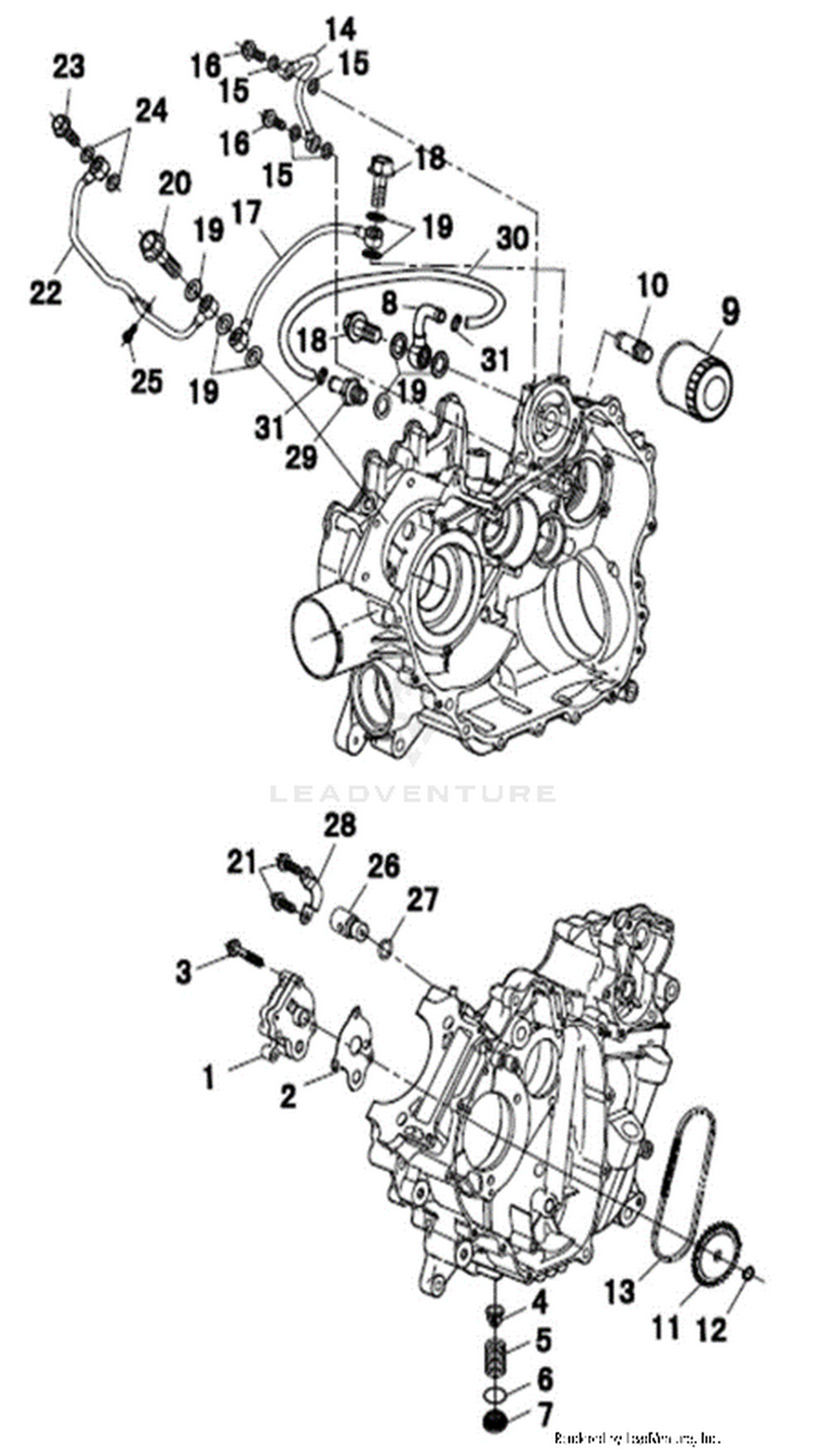 Engine - Oil Pump