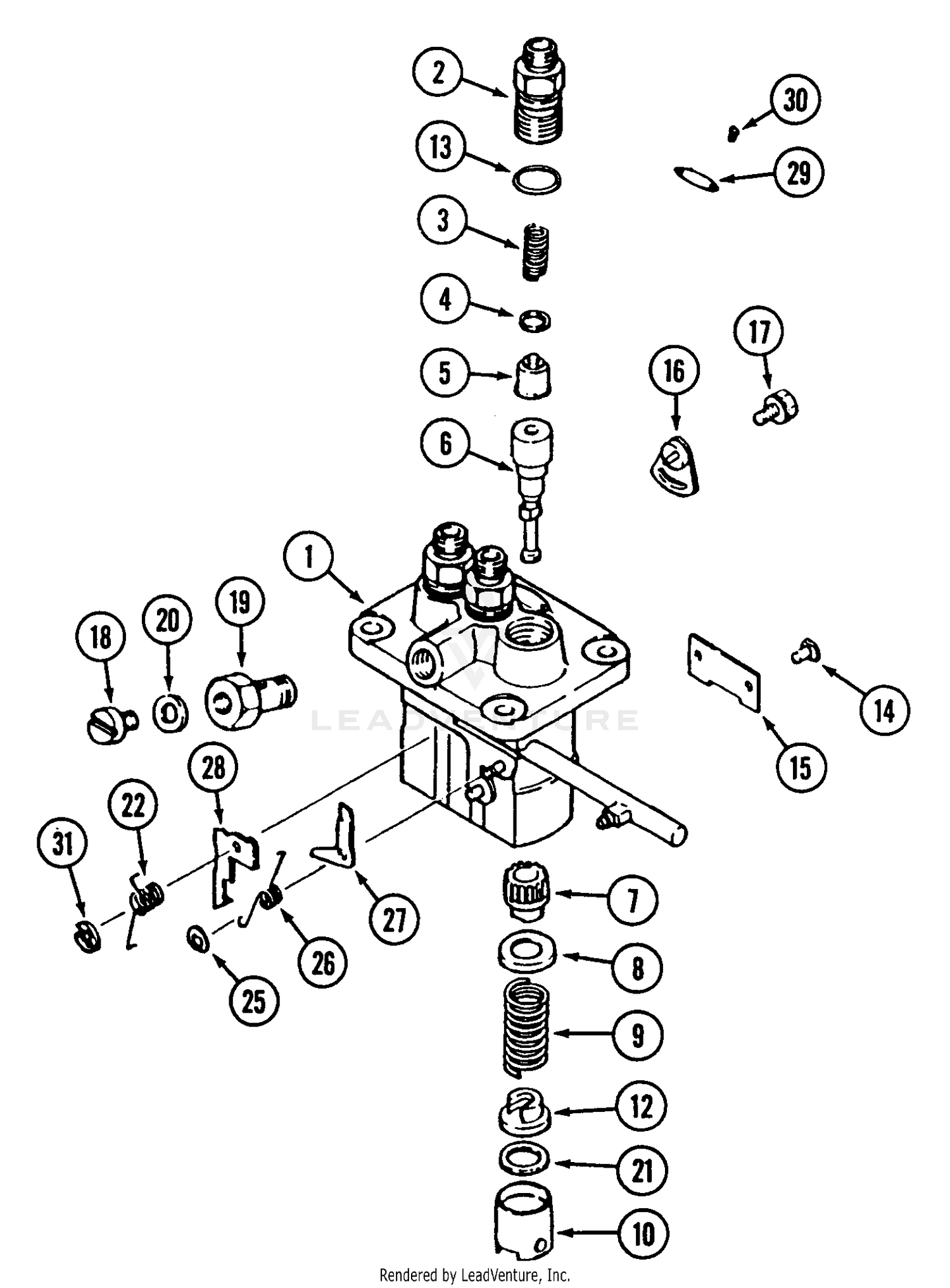 Fuel Injection Pump - 19HP