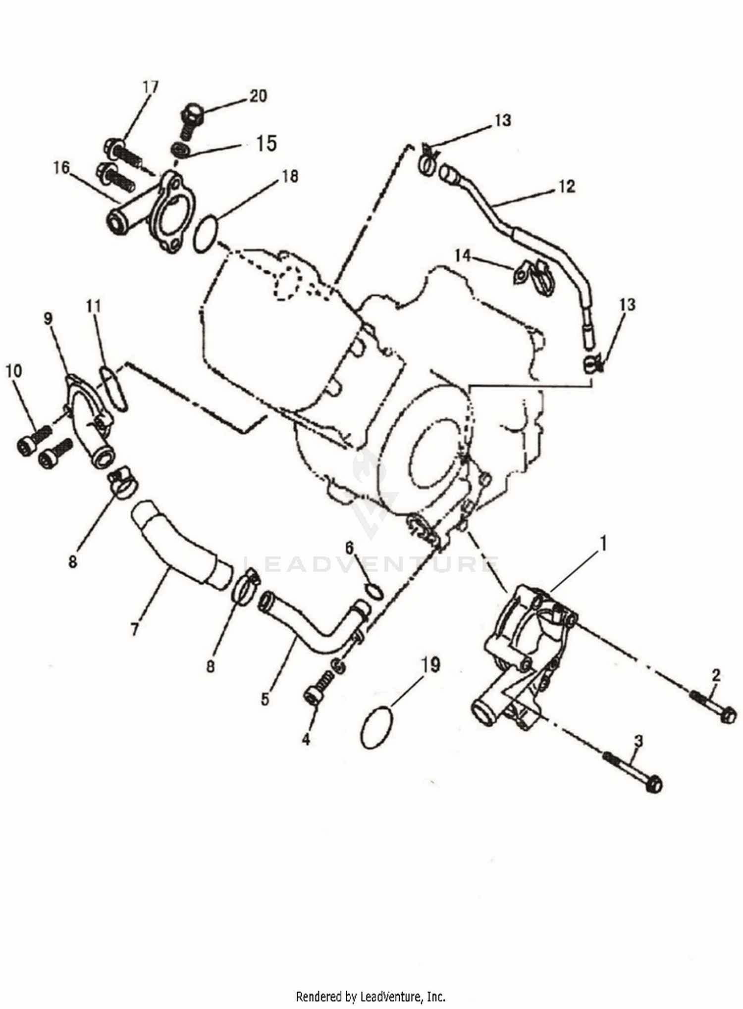 Engine - Water Pump
