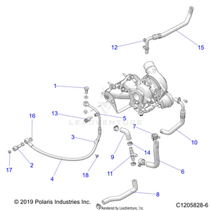 Engine, Turbo, Cooling And Oil - Z21rau92an/bn (c1205828-6) Schematic