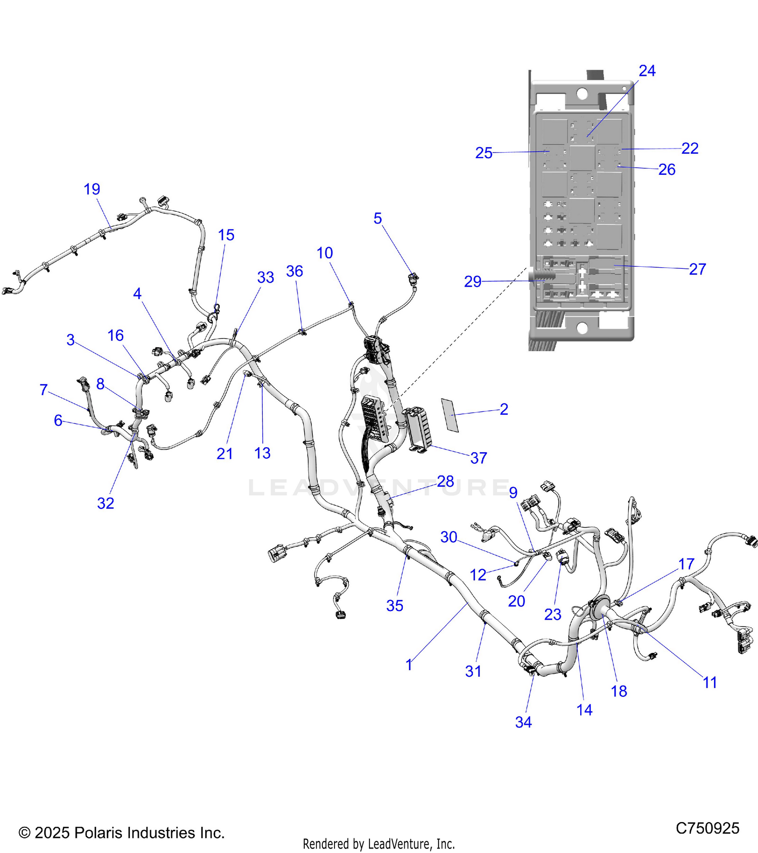 ELECTRICAL, WIRE HARNESS(FROM 1.1.2026) - Z26NMT99A4/B4/A6 (C750925)