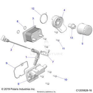 Engine, Dipstick And Oil Filter - Z21rau92an/bn (c1205828-16) Schematic