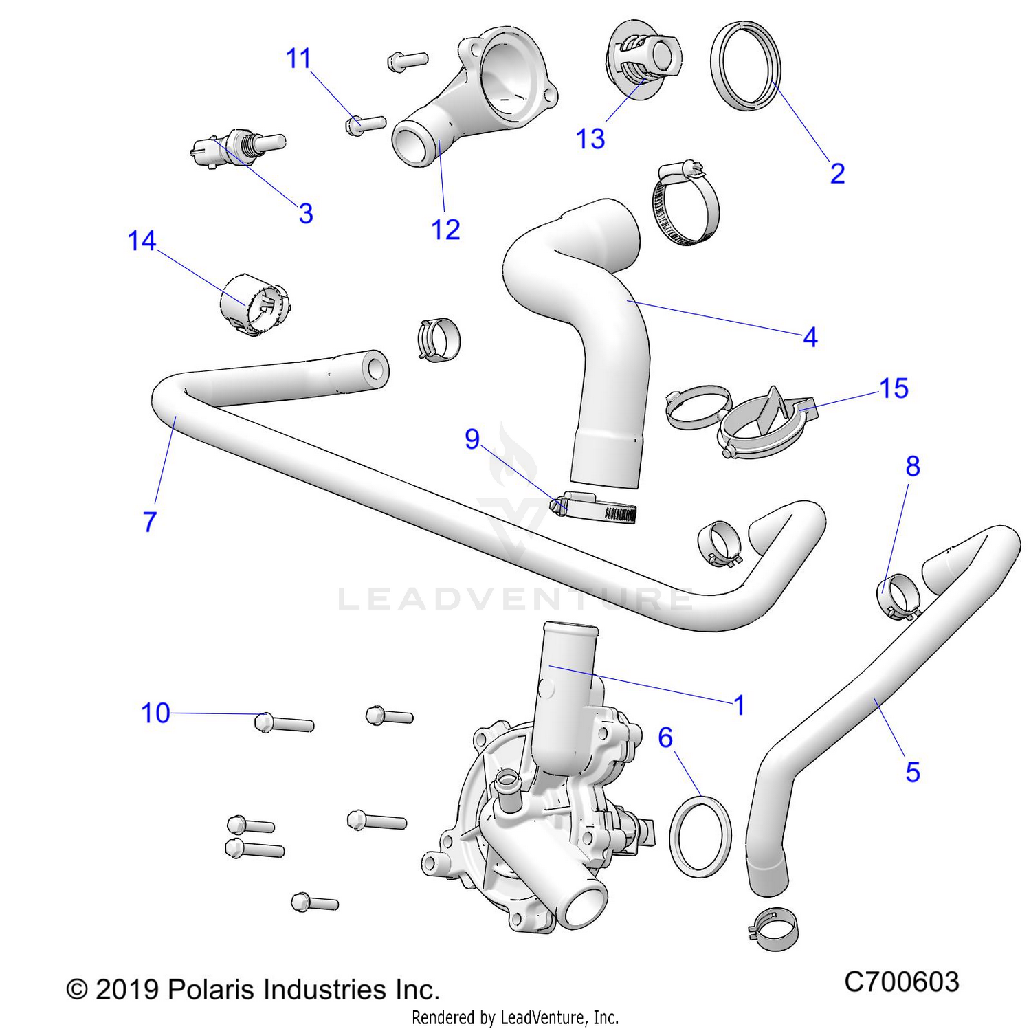 ENGINE, WATERPUMP AND BYPASS - D21BEP99A4/B4/GP99A4 (C700603)